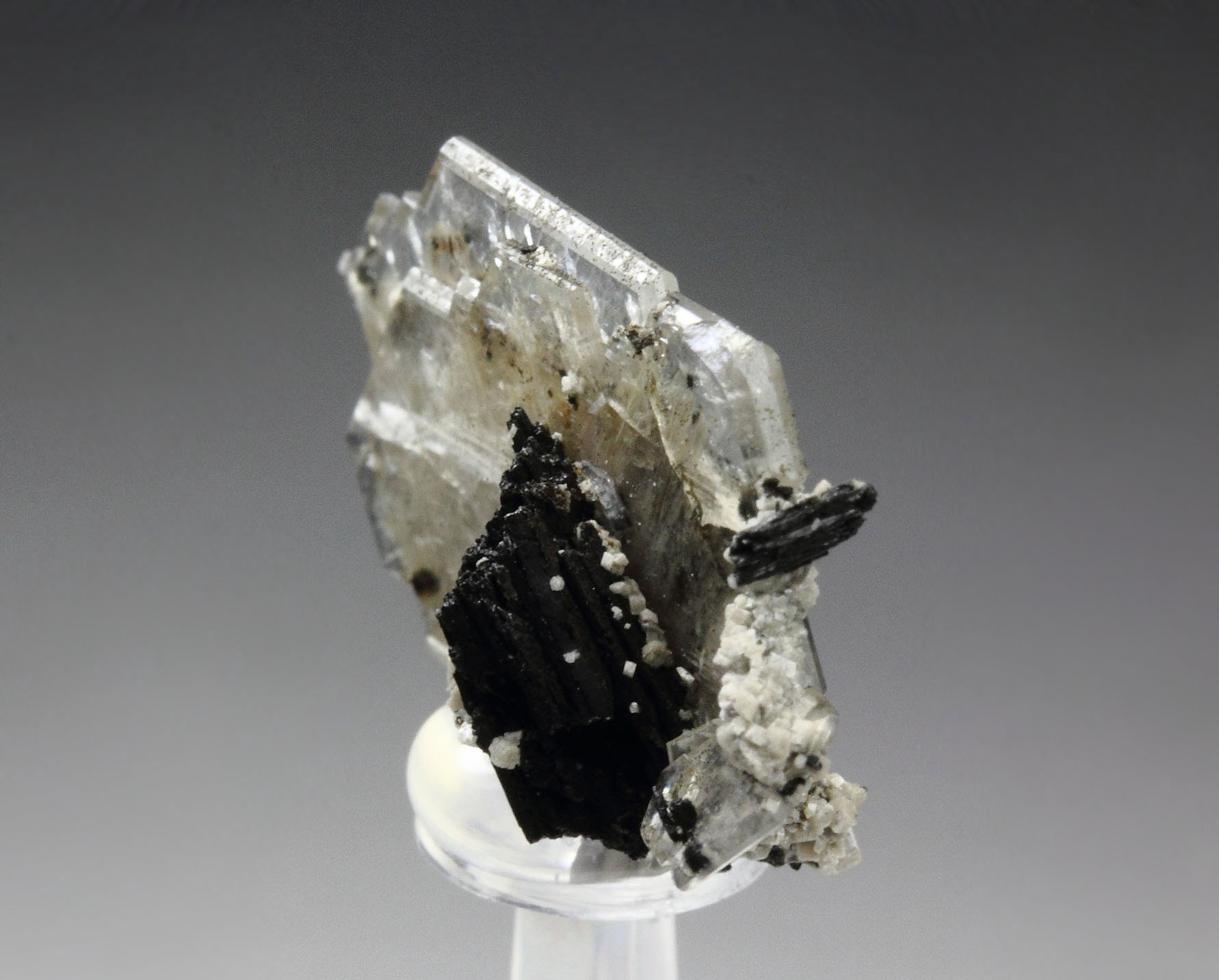 CATAPLEIITE, AEGIRINE