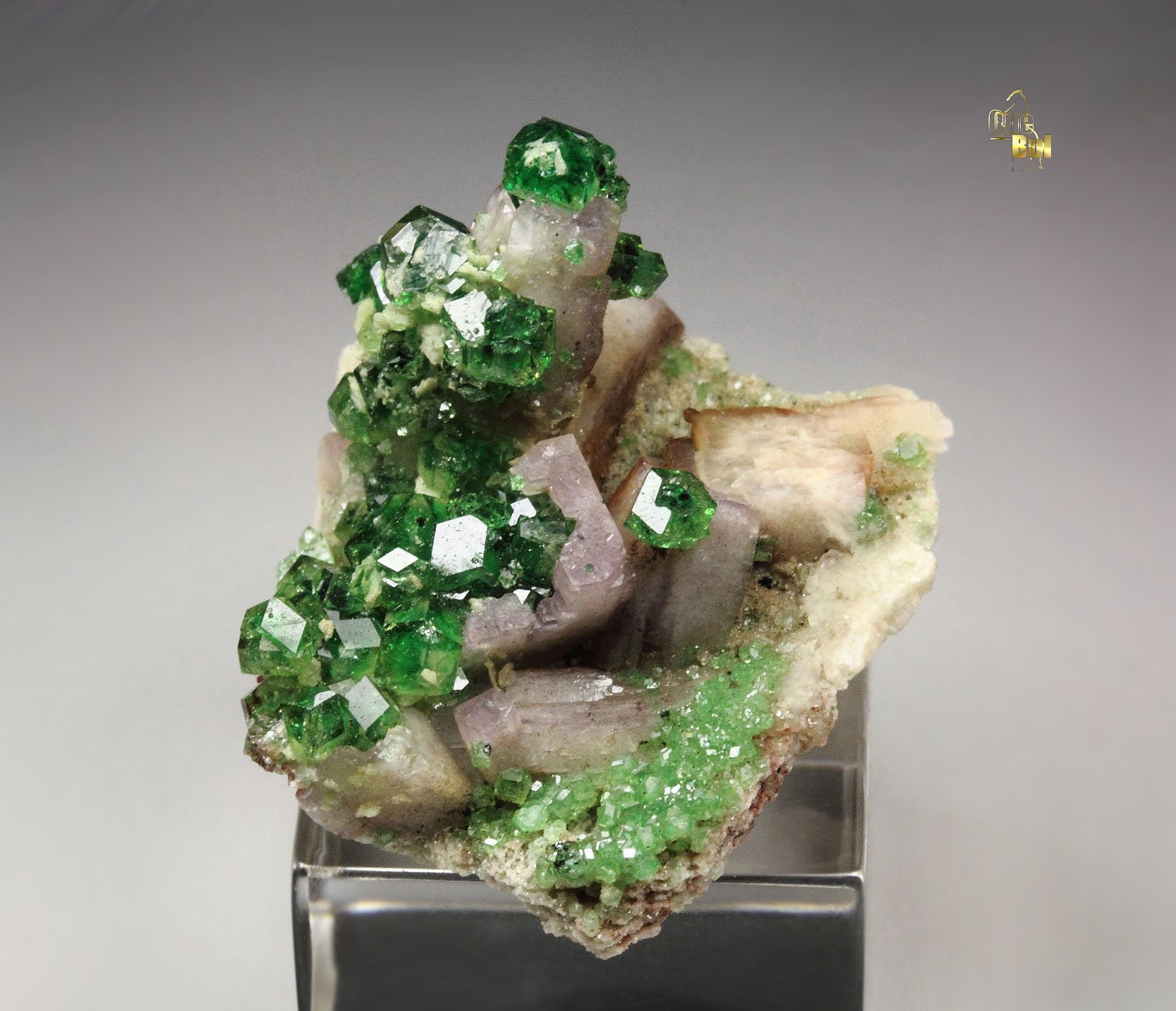 gem GARNET var. GROSSULAR var. CHROMIAN, PREHNITE