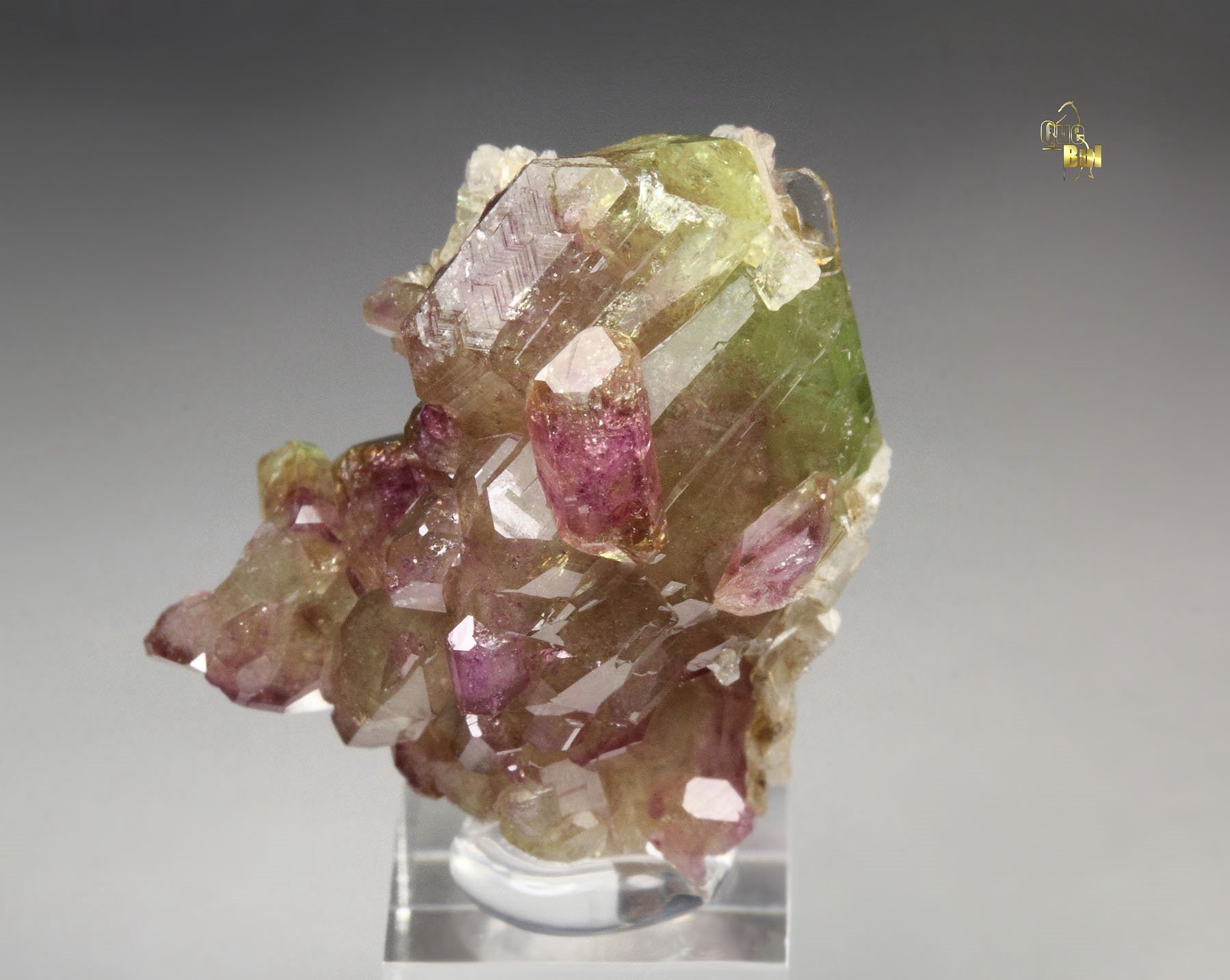 gemmy VESUVIANITE bi-color, DIOPSIDE