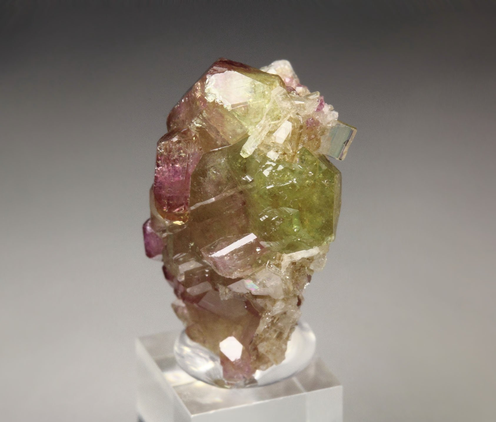gemmy VESUVIANITE bi-color, DIOPSIDE
