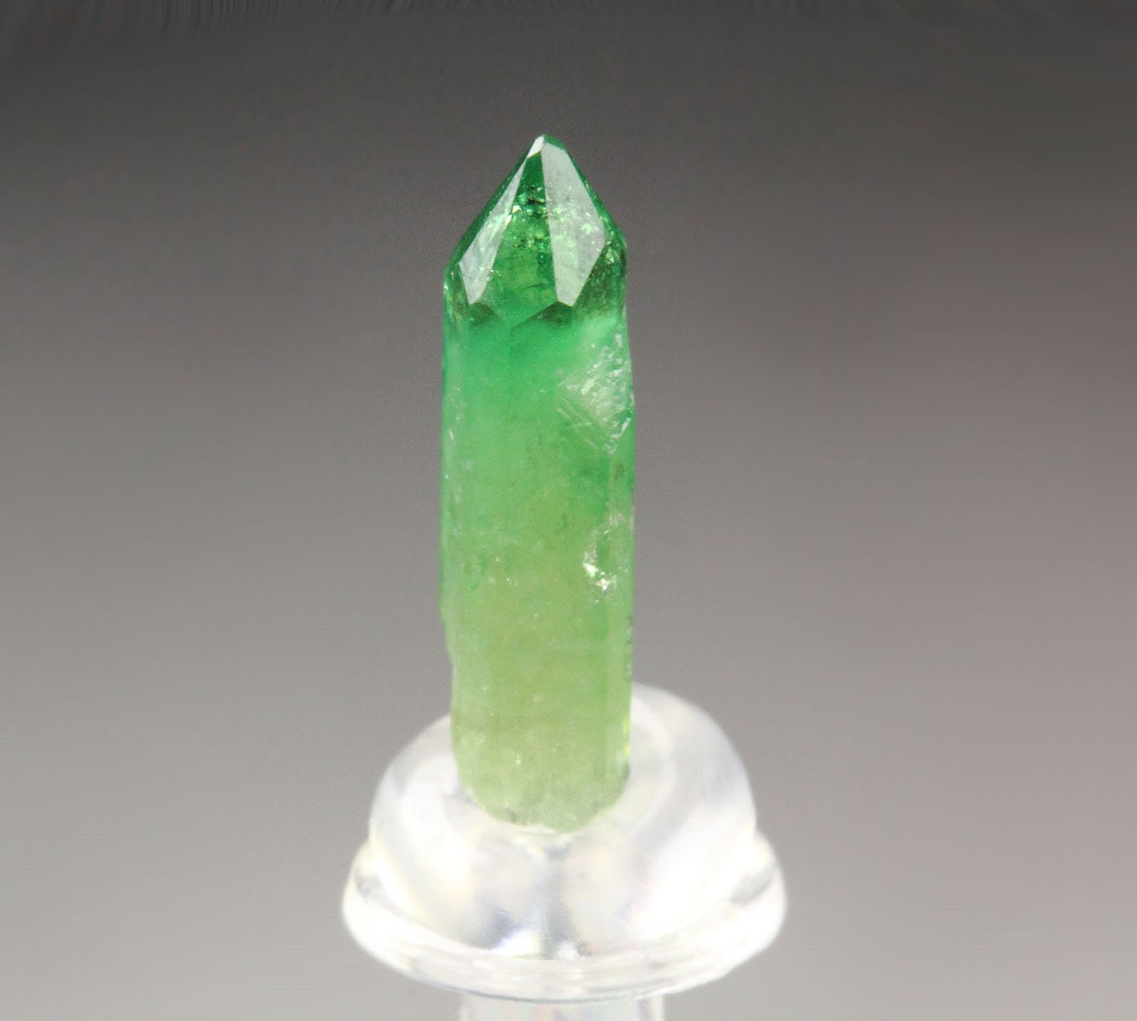 gemmy VESUVIANITE var. CHROMIAN