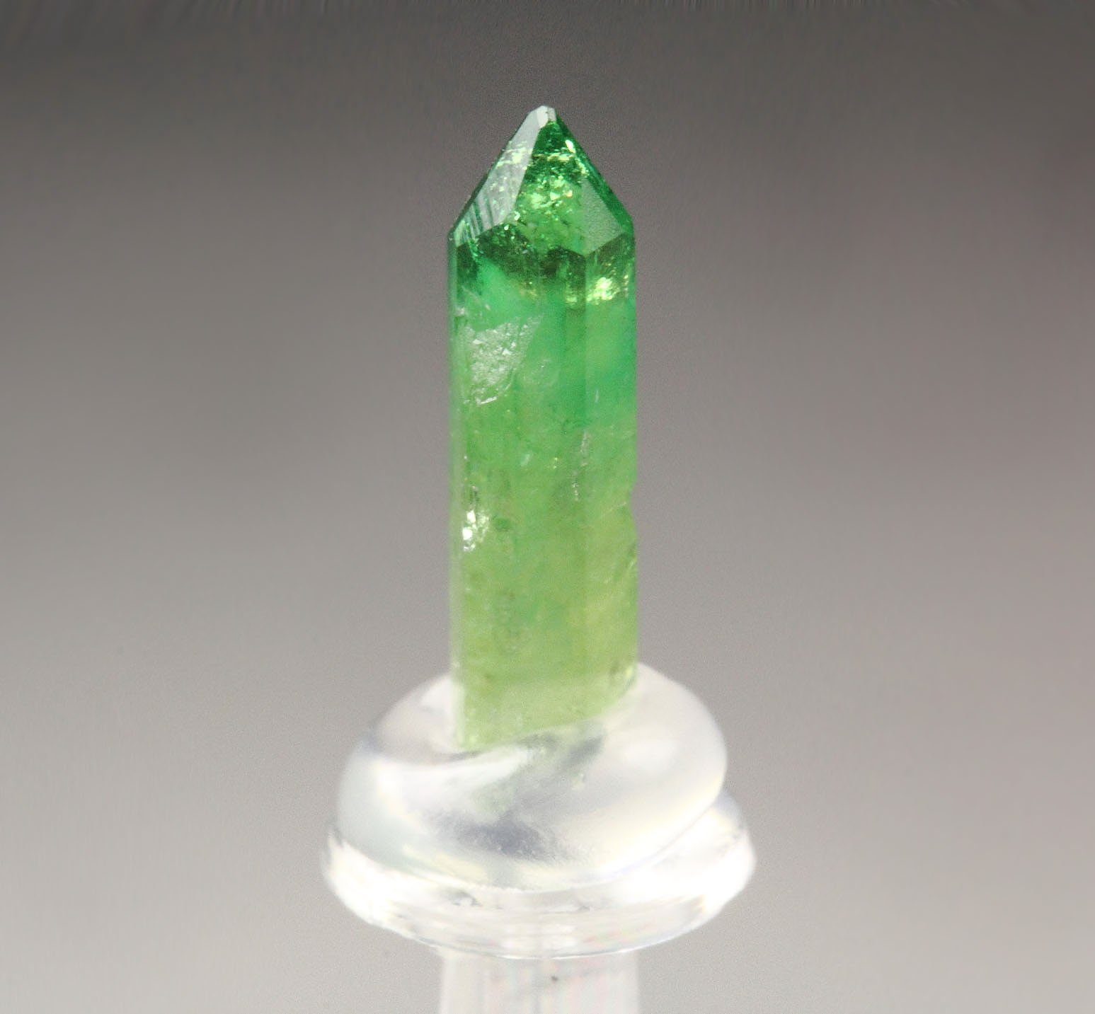 gemmy VESUVIANITE var. CHROMIAN