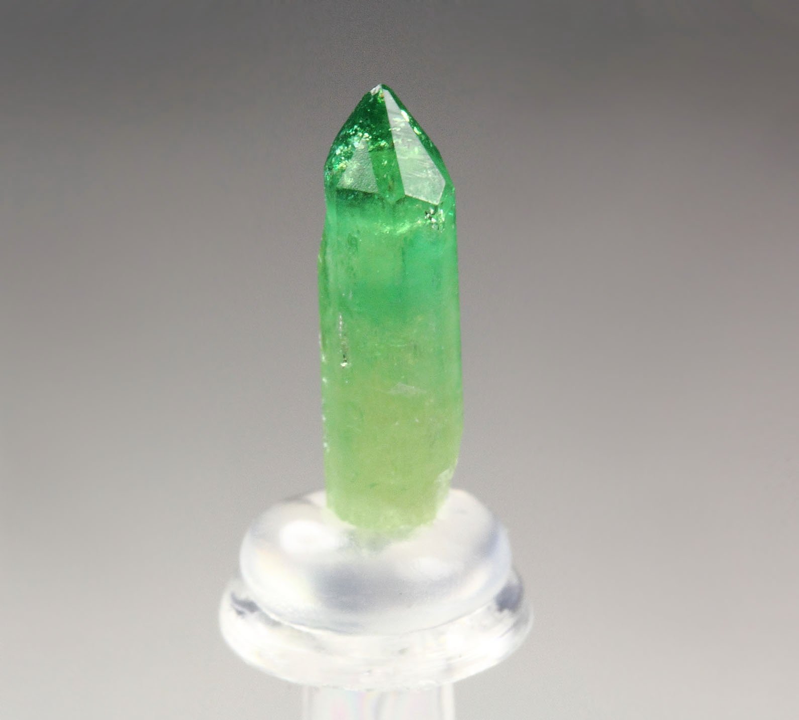 gemmy VESUVIANITE var. CHROMIAN