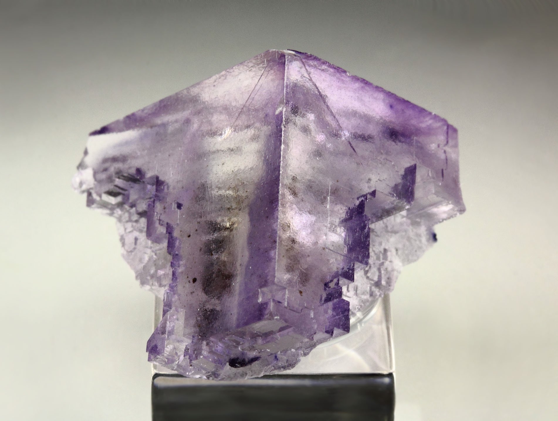 FLUORITE with PHANTOMS