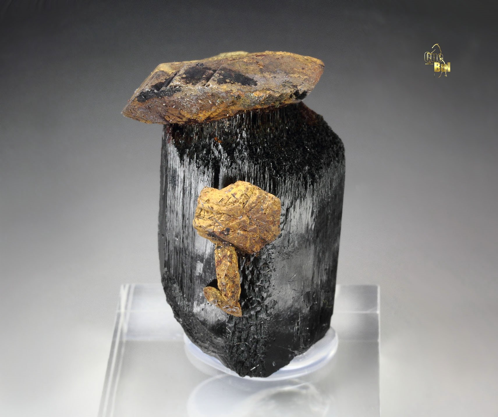 GOETHITE pseudomorph after SIDERITE, TOURMALINE var. SCHORL