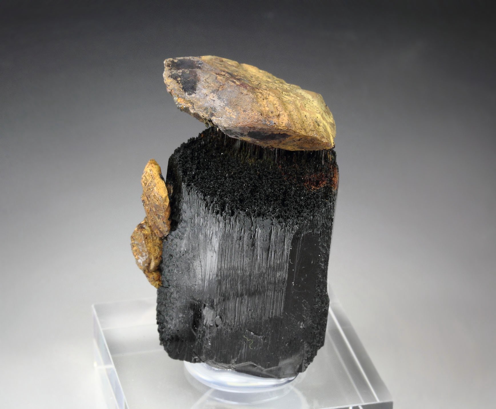 GOETHITE pseudomorph after SIDERITE, TOURMALINE var. SCHORL