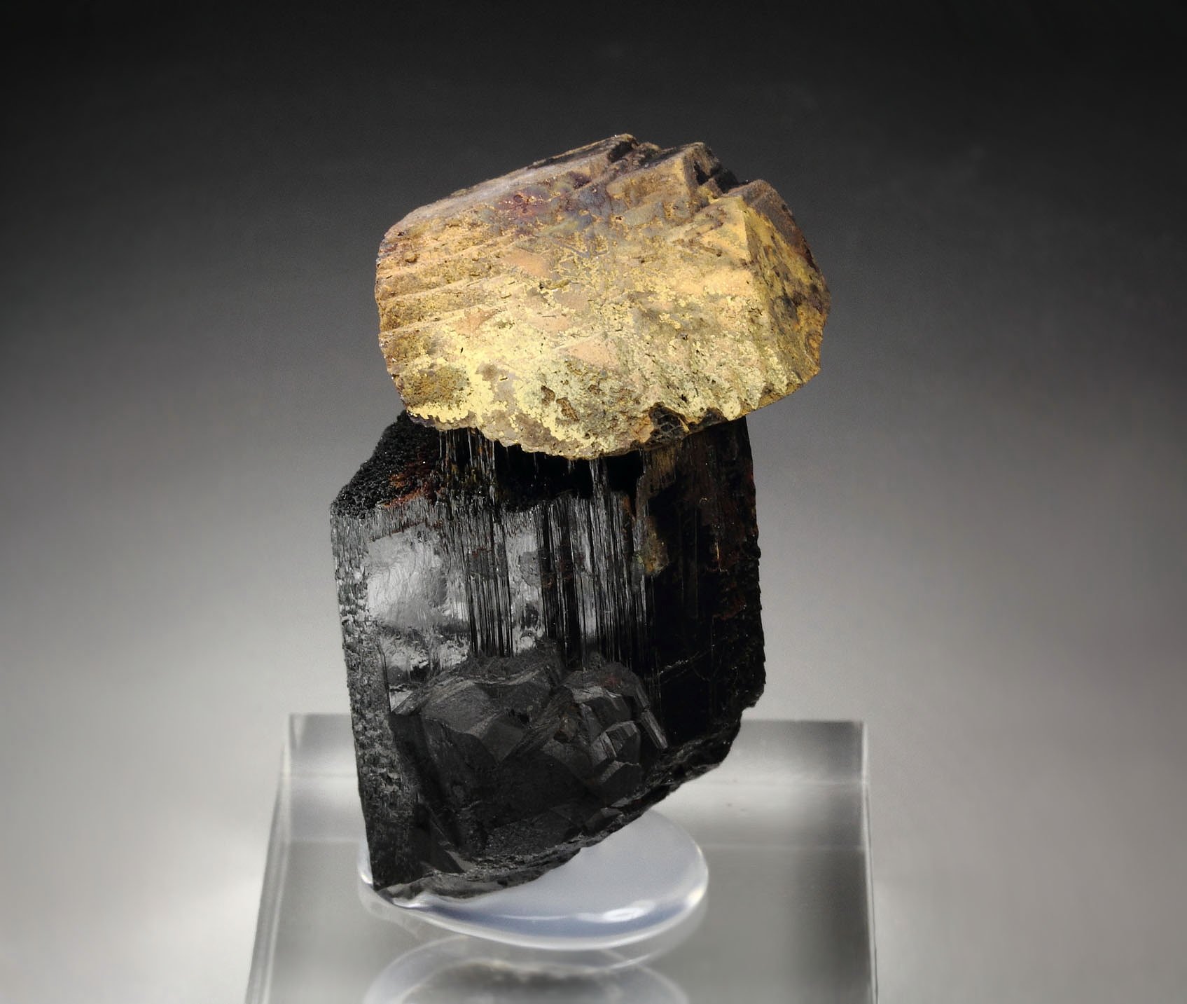 GOETHITE pseudomorph after SIDERITE, TOURMALINE var. SCHORL