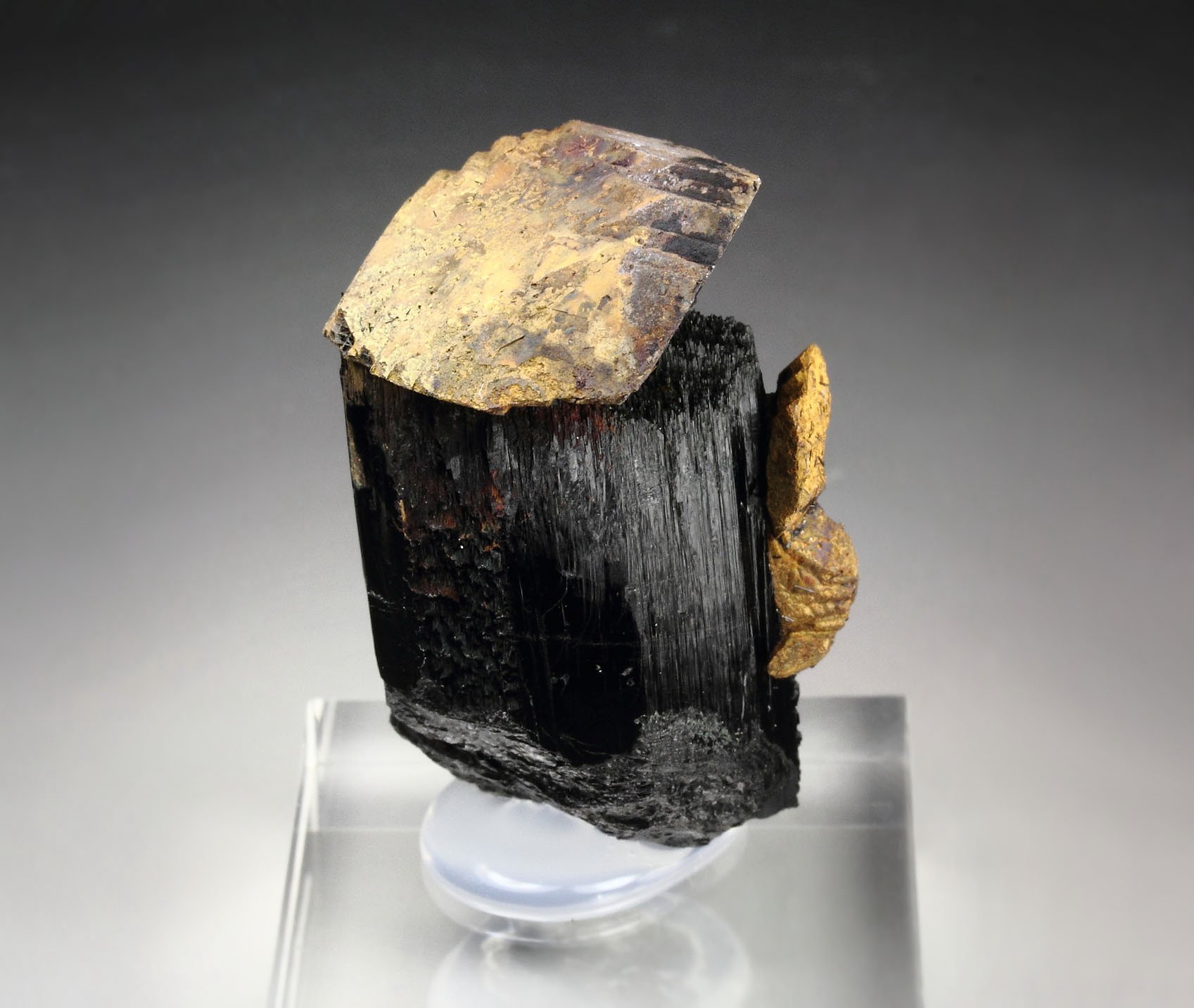 GOETHITE pseudomorph after SIDERITE, TOURMALINE var. SCHORL
