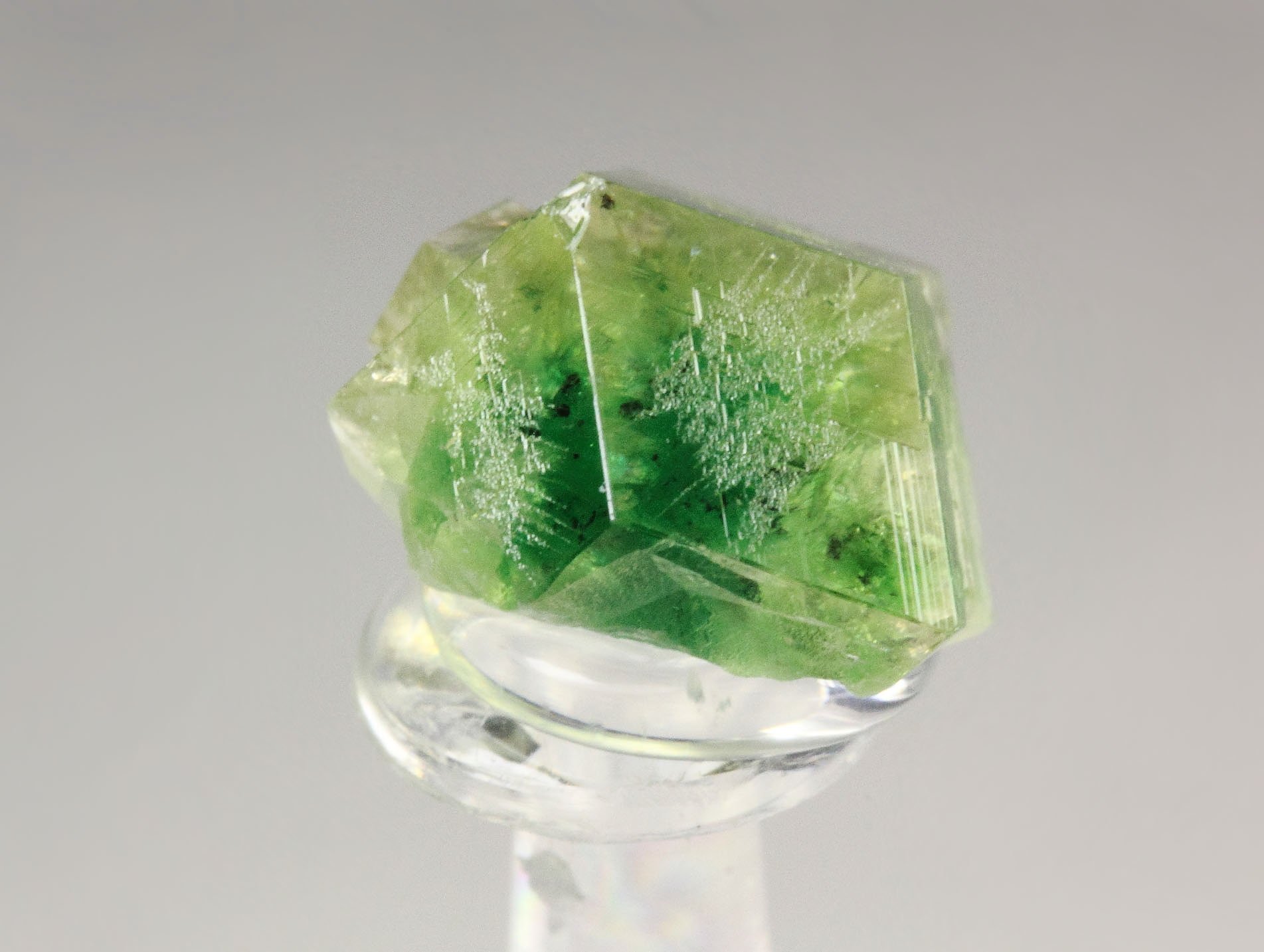 gem GARNET var. GROSSULAR with GREEN CHROMIAN PHANTOM