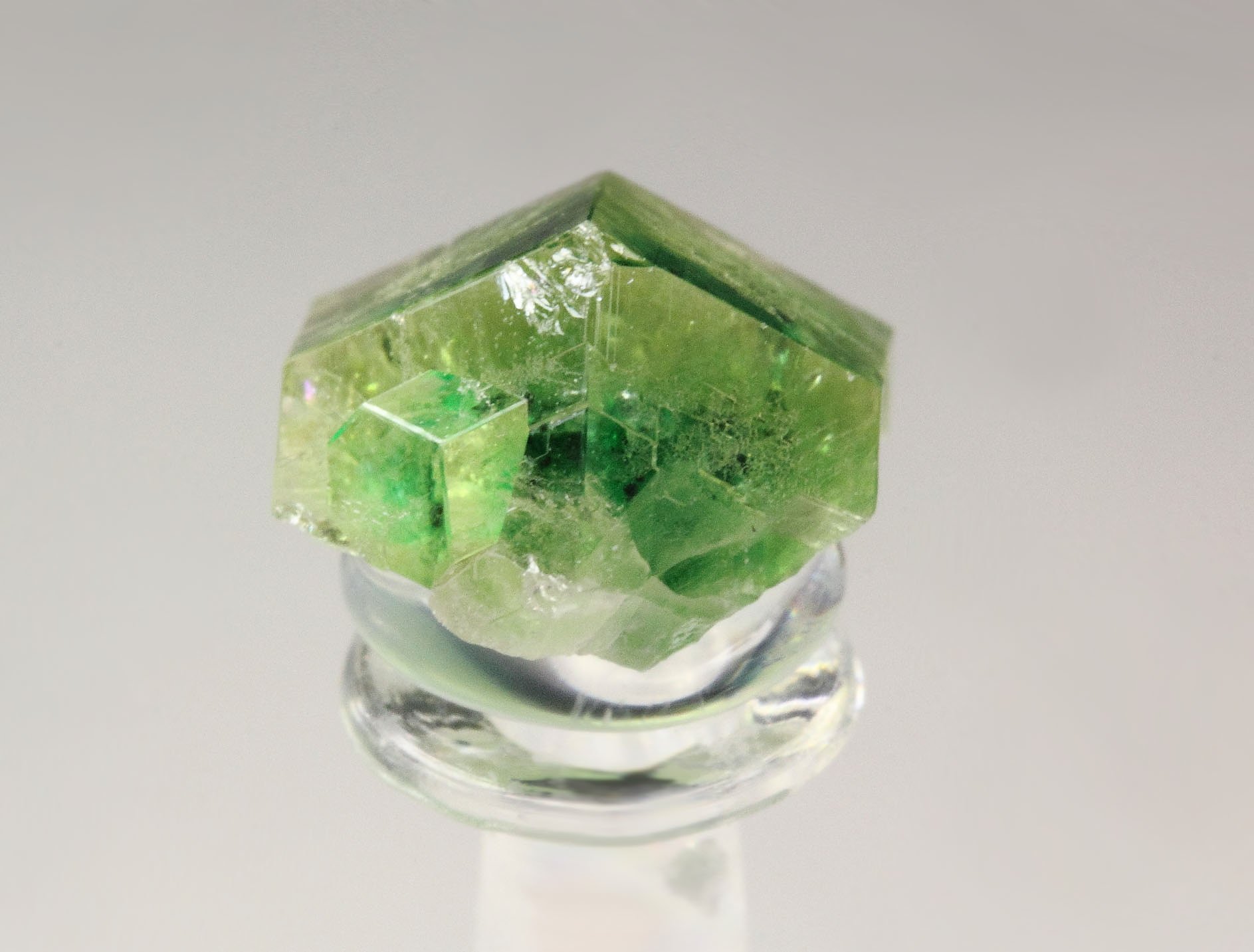 gem GARNET var. GROSSULAR with GREEN CHROMIAN PHANTOM