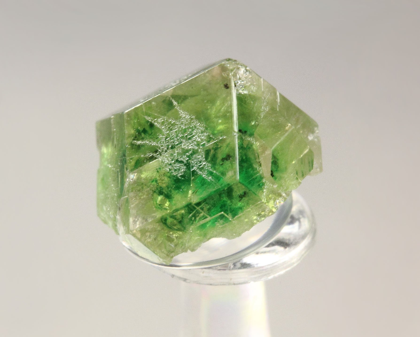 gem GARNET var. GROSSULAR with GREEN CHROMIAN PHANTOM