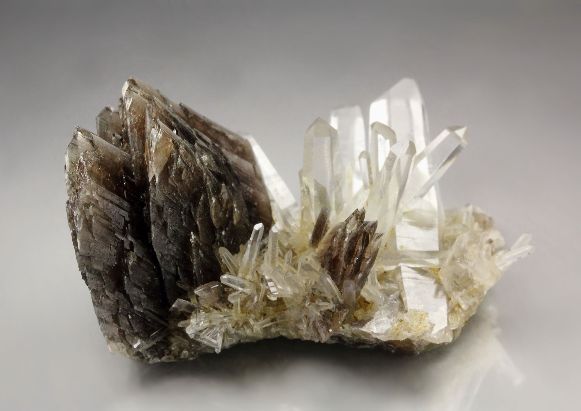 AXINITE-Fe, QUARTZ