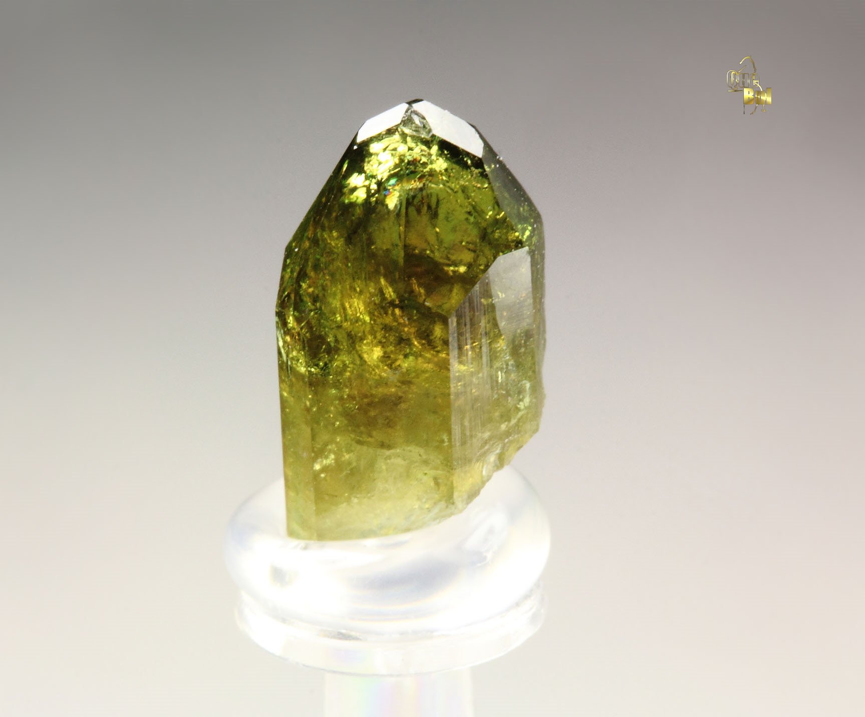 gem VESUVIANITE