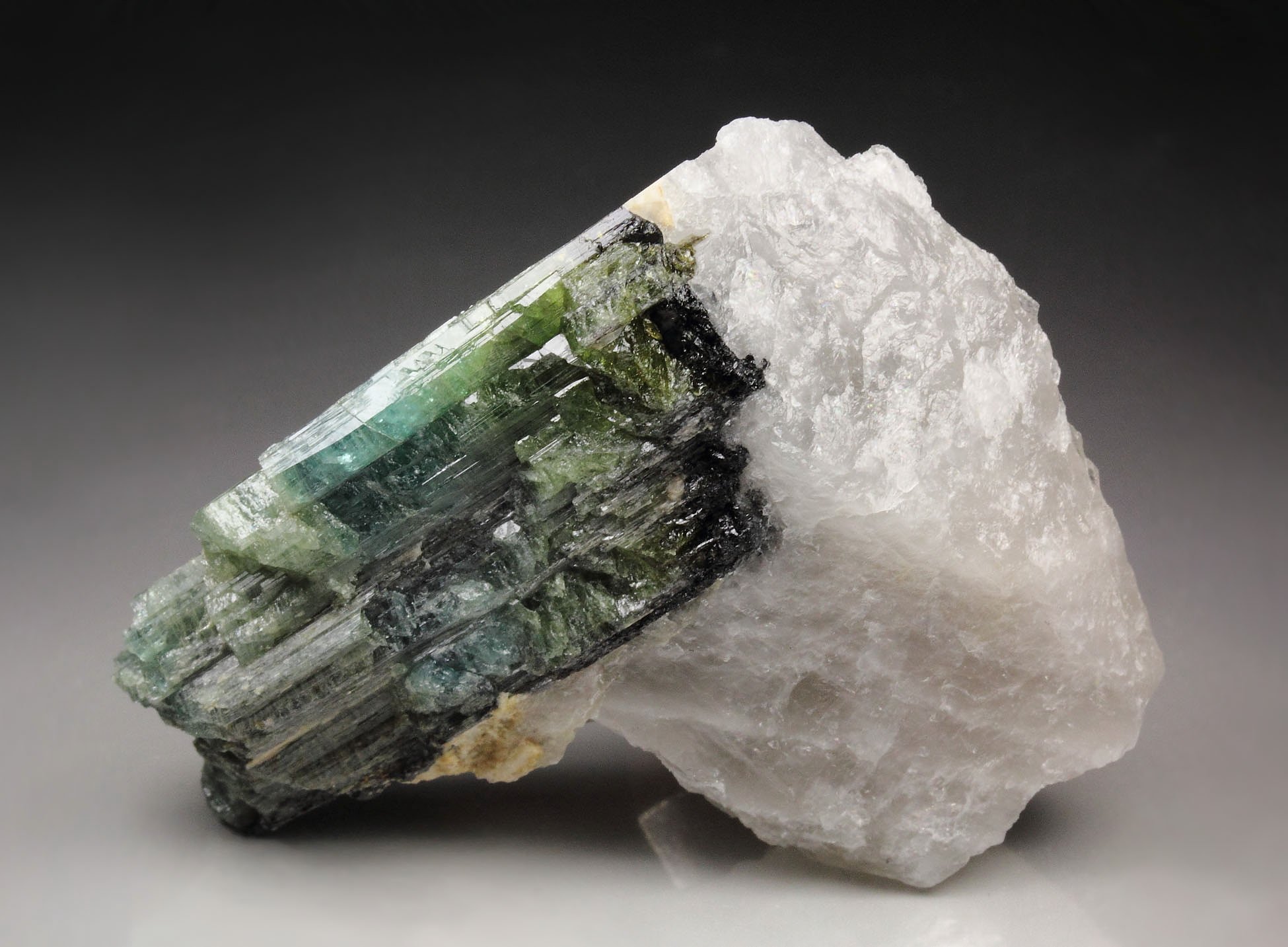 new find - gemmy TOURMALINE var. ELBAITE