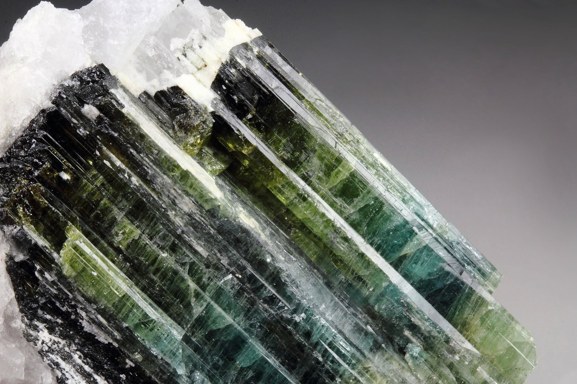 new find - gemmy TOURMALINE var. ELBAITE