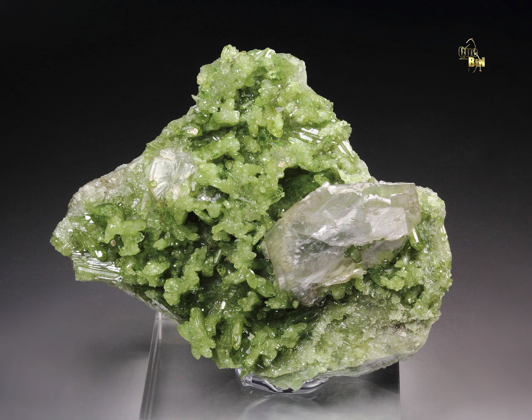 VESUVIANITE, MUSCOVITE