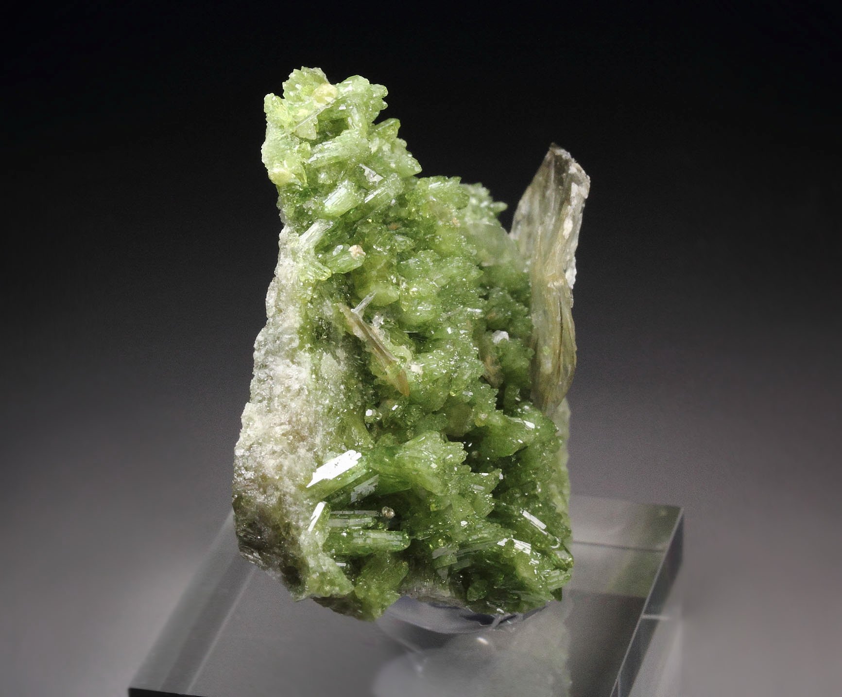 VESUVIANITE, MUSCOVITE