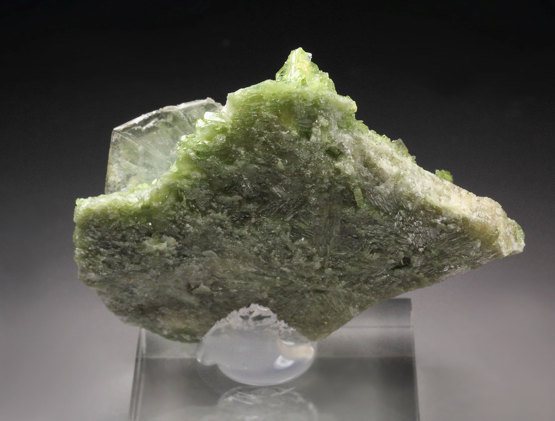 VESUVIANITE, MUSCOVITE