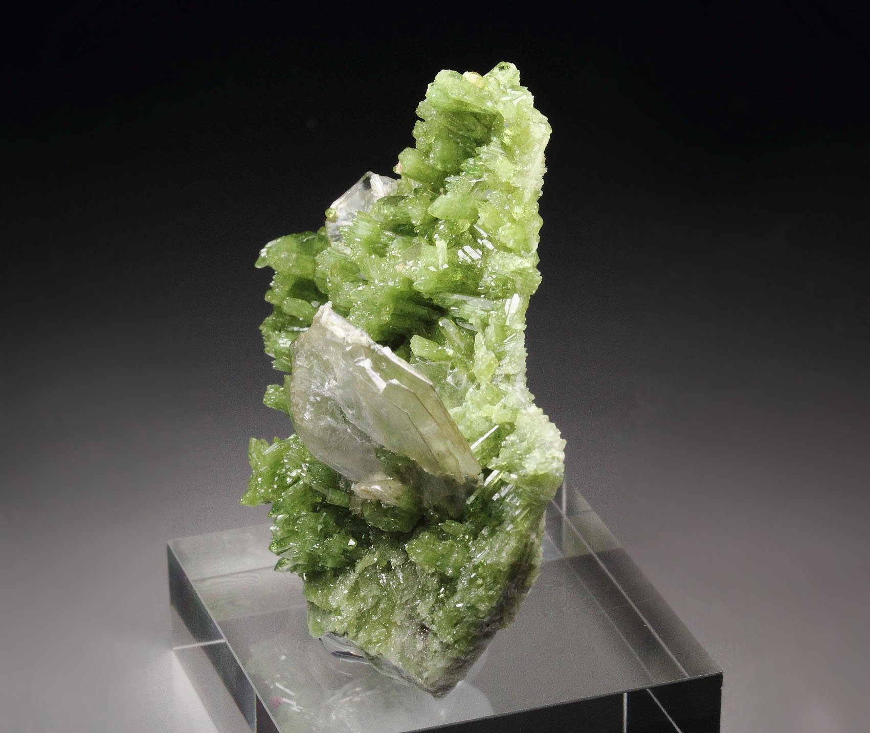 VESUVIANITE, MUSCOVITE