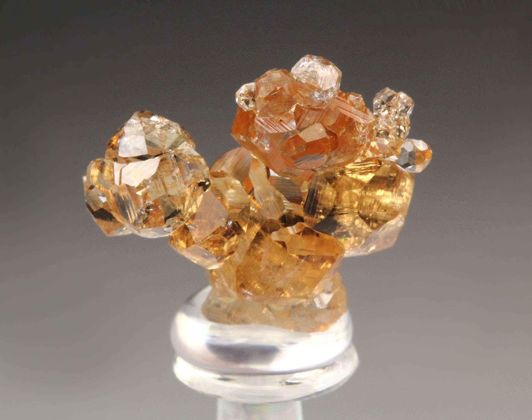 gem GARNET var. GROSSULAR
