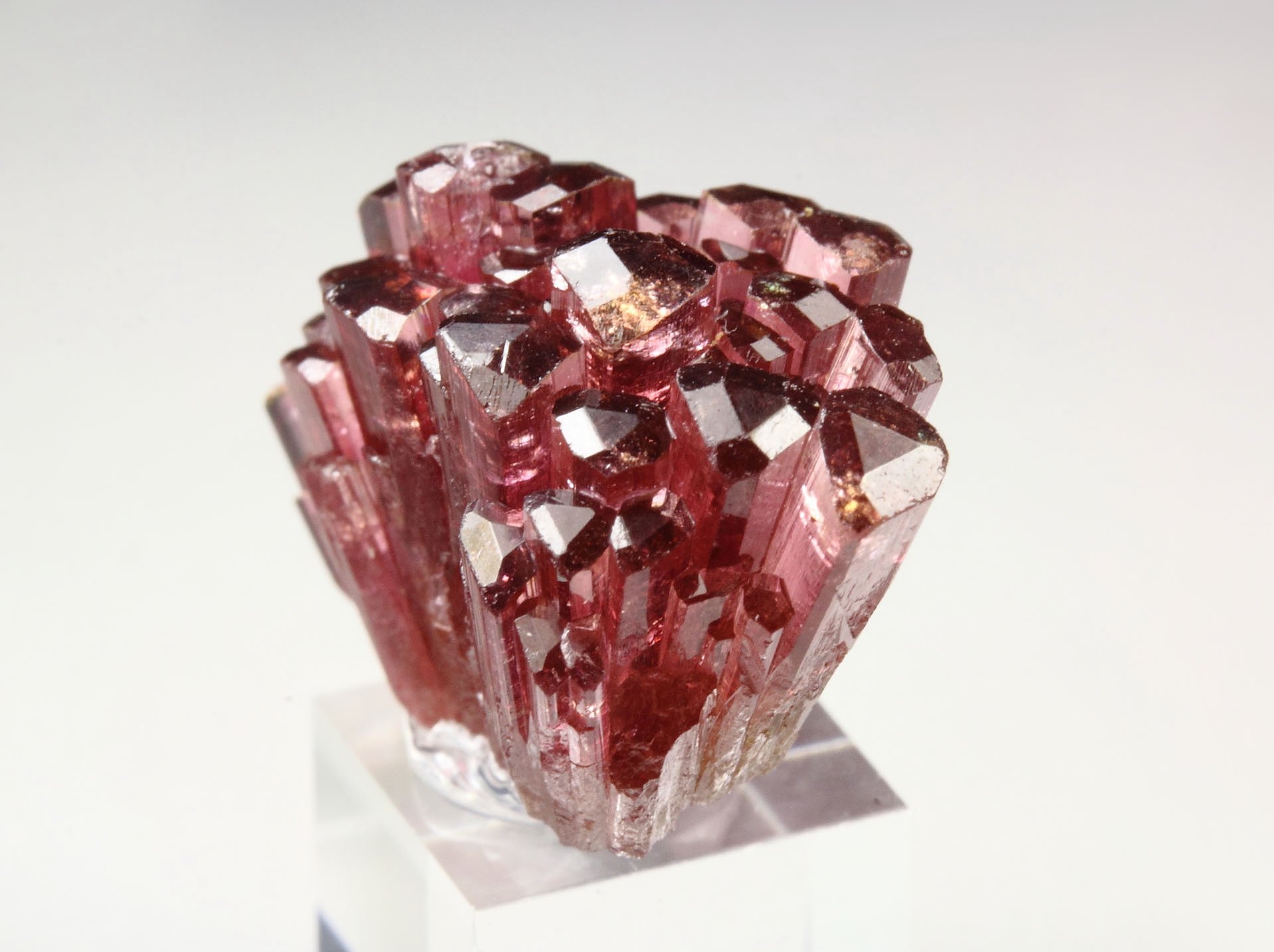 gem TOURMALINE var. ELBAITE