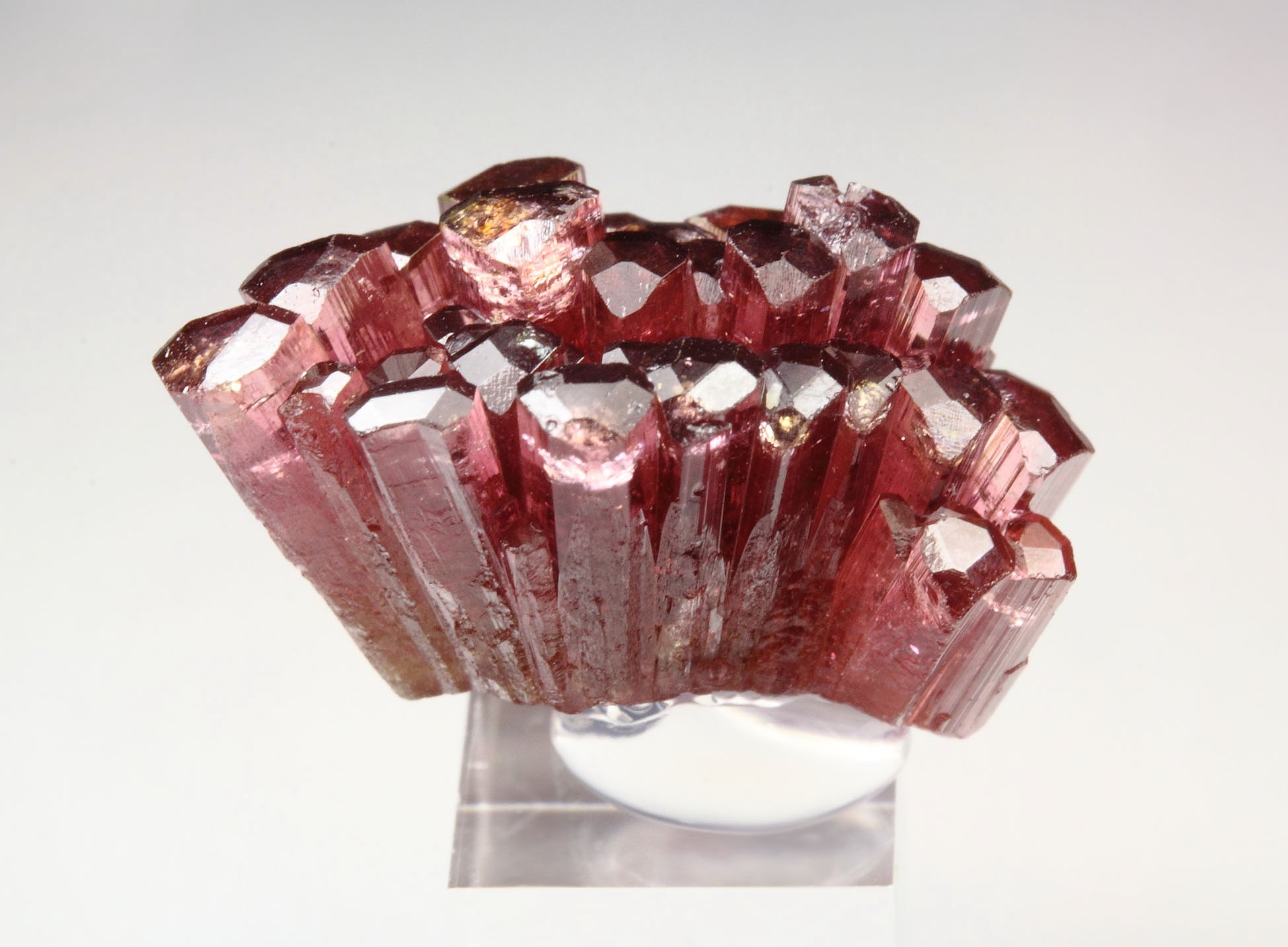 gem TOURMALINE var. ELBAITE