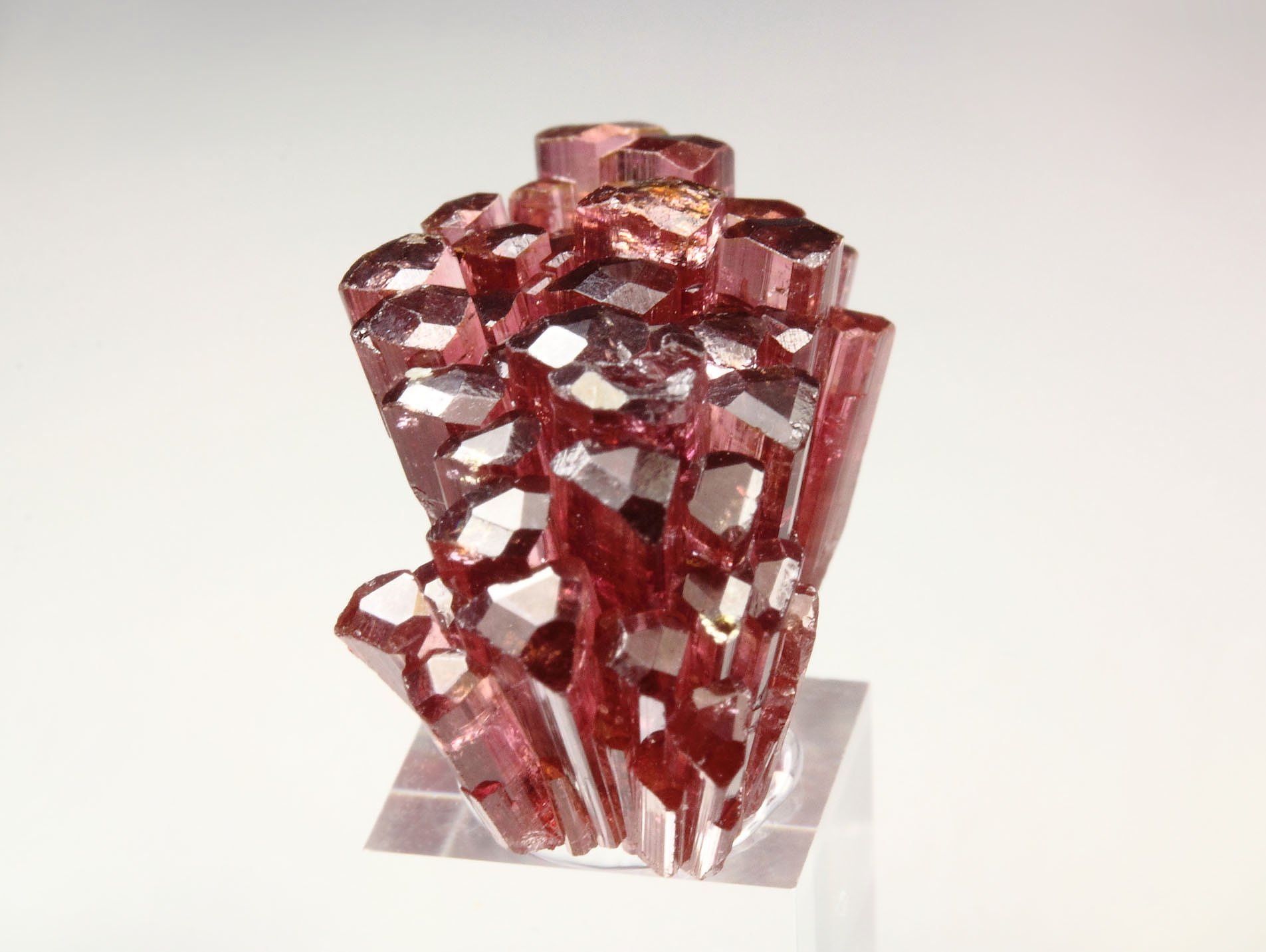 gem TOURMALINE var. ELBAITE