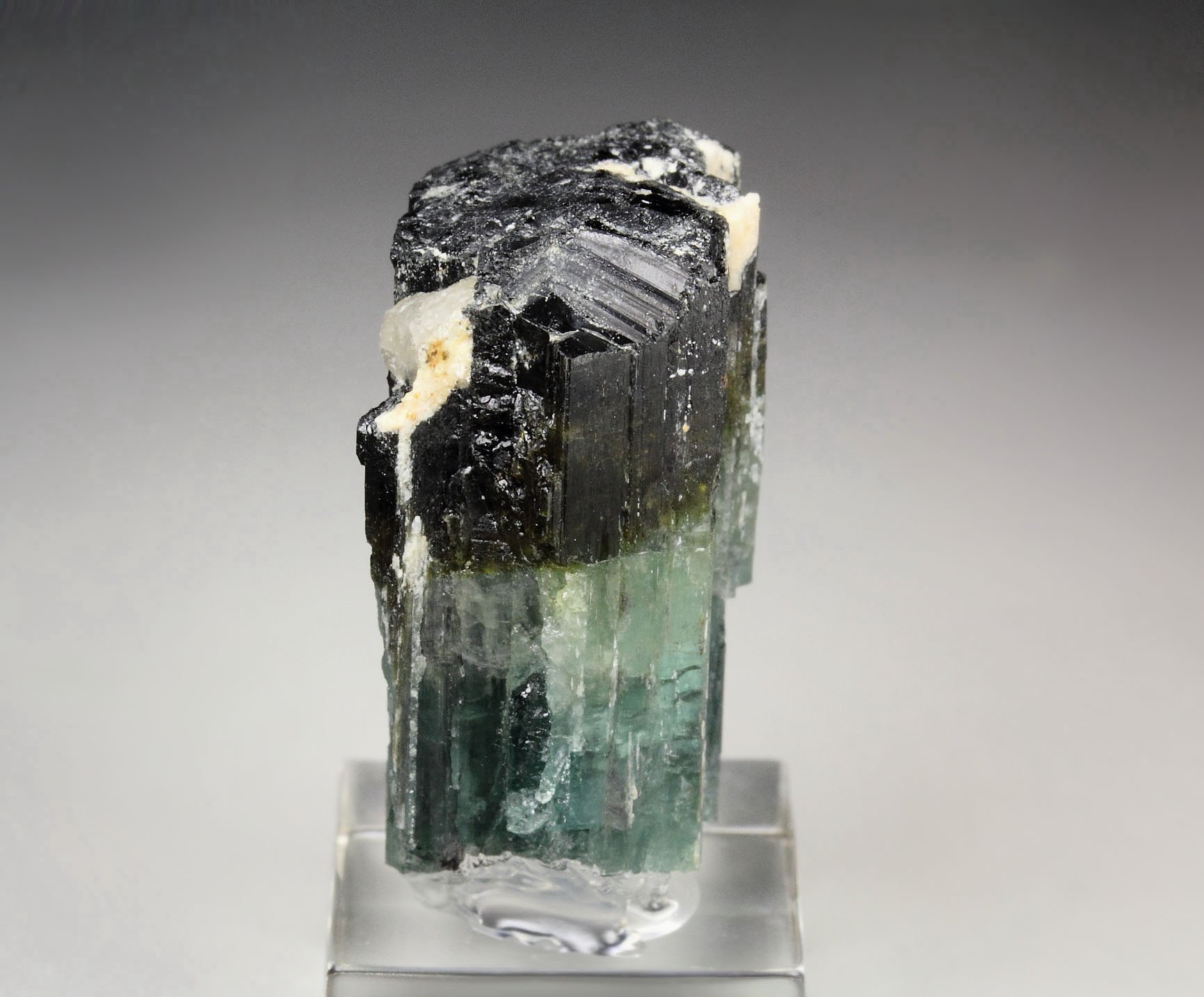 new find - gemmy TOURMALINE var. ELBAITE