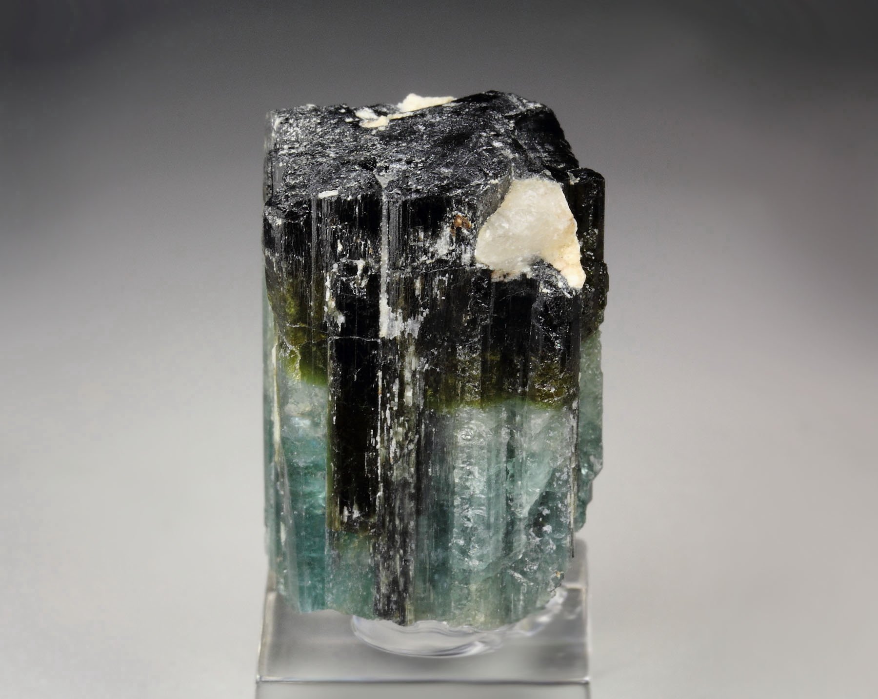 new find - gemmy TOURMALINE var. ELBAITE