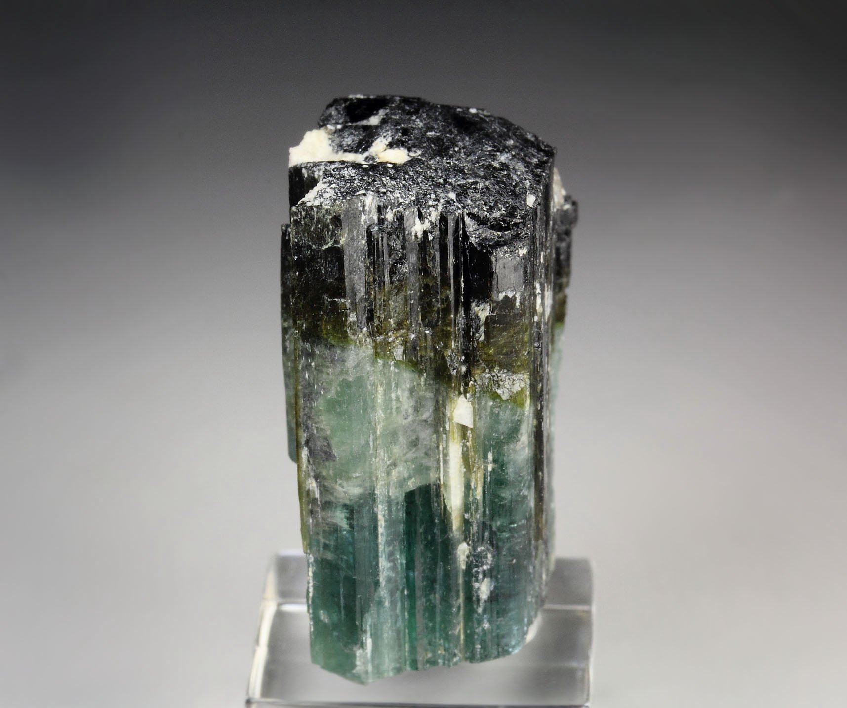 new find - gemmy TOURMALINE var. ELBAITE