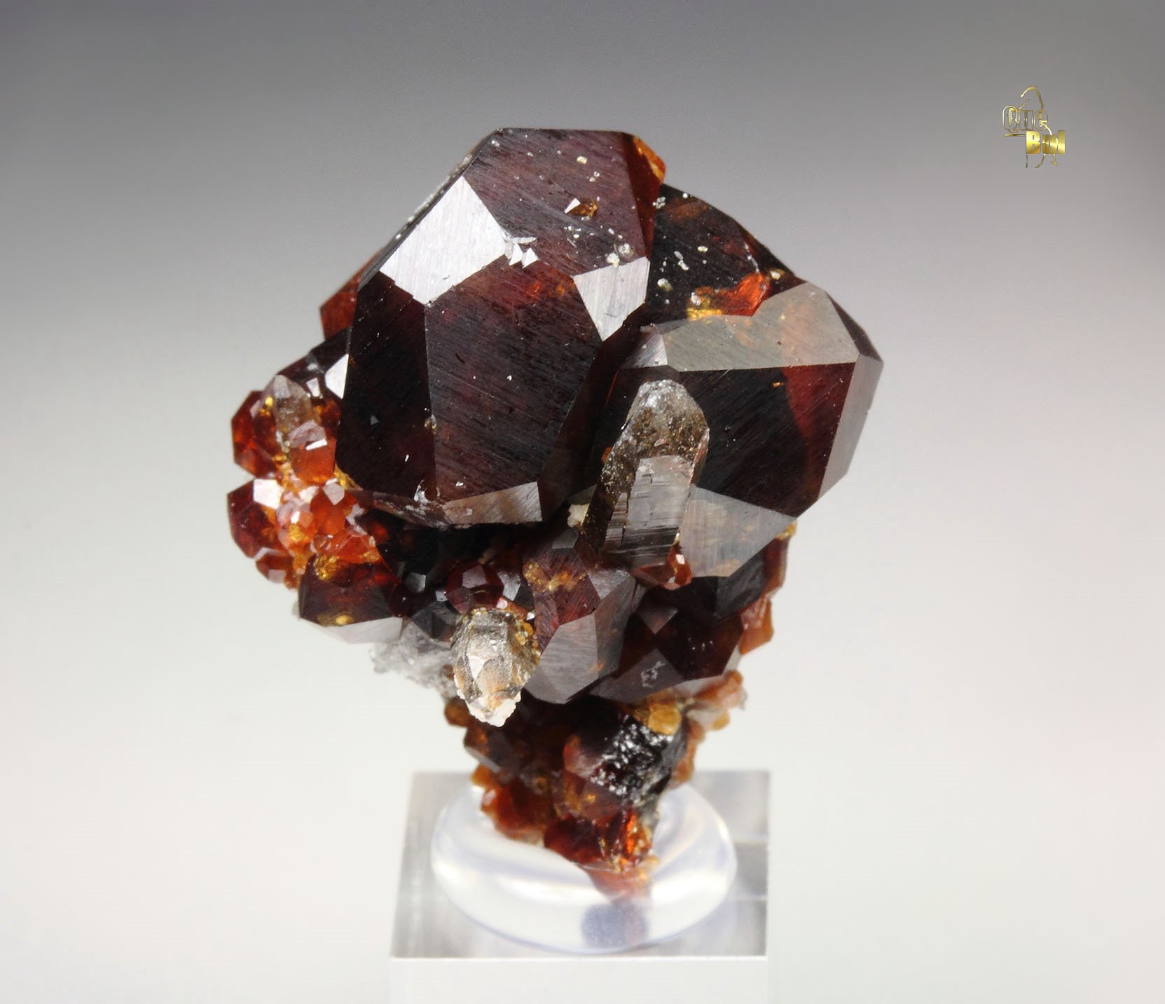 GARNET var. SPESSARTINE, QUARTZ