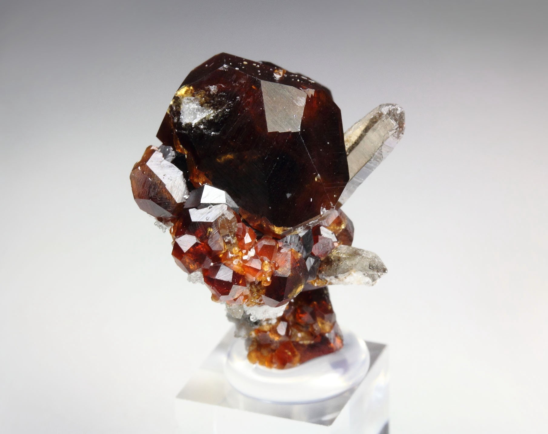 GARNET var. SPESSARTINE, QUARTZ