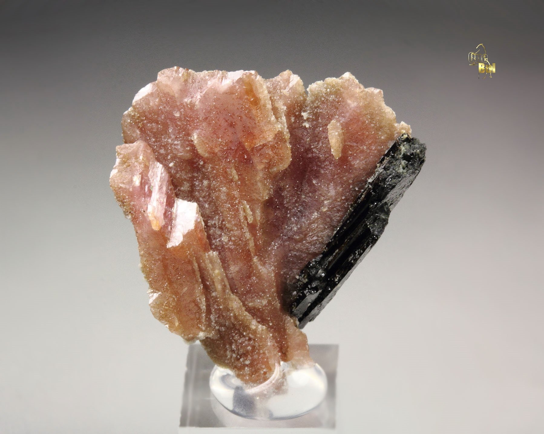 RHODOCHROSITE, AEGIRINE