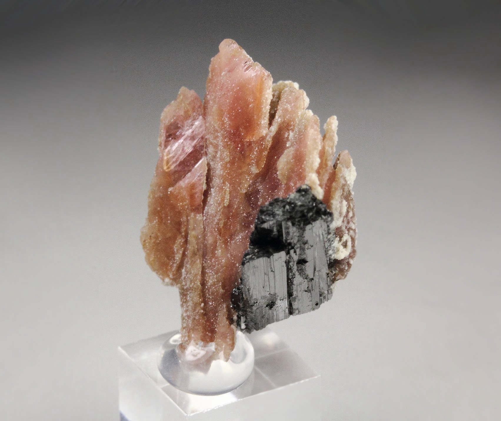 RHODOCHROSITE, AEGIRINE