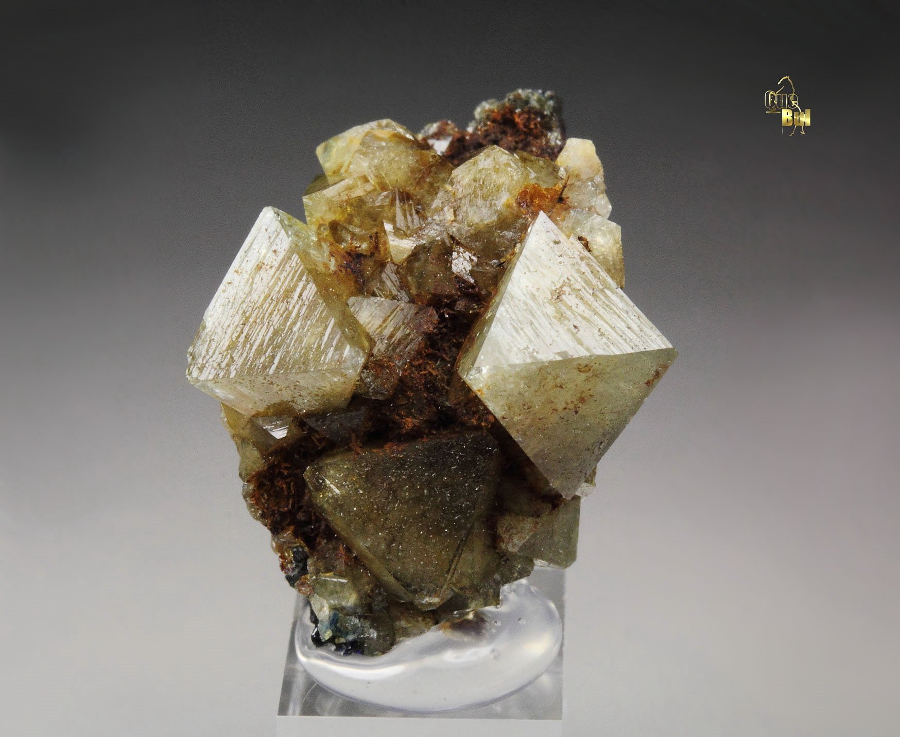 WARDITE