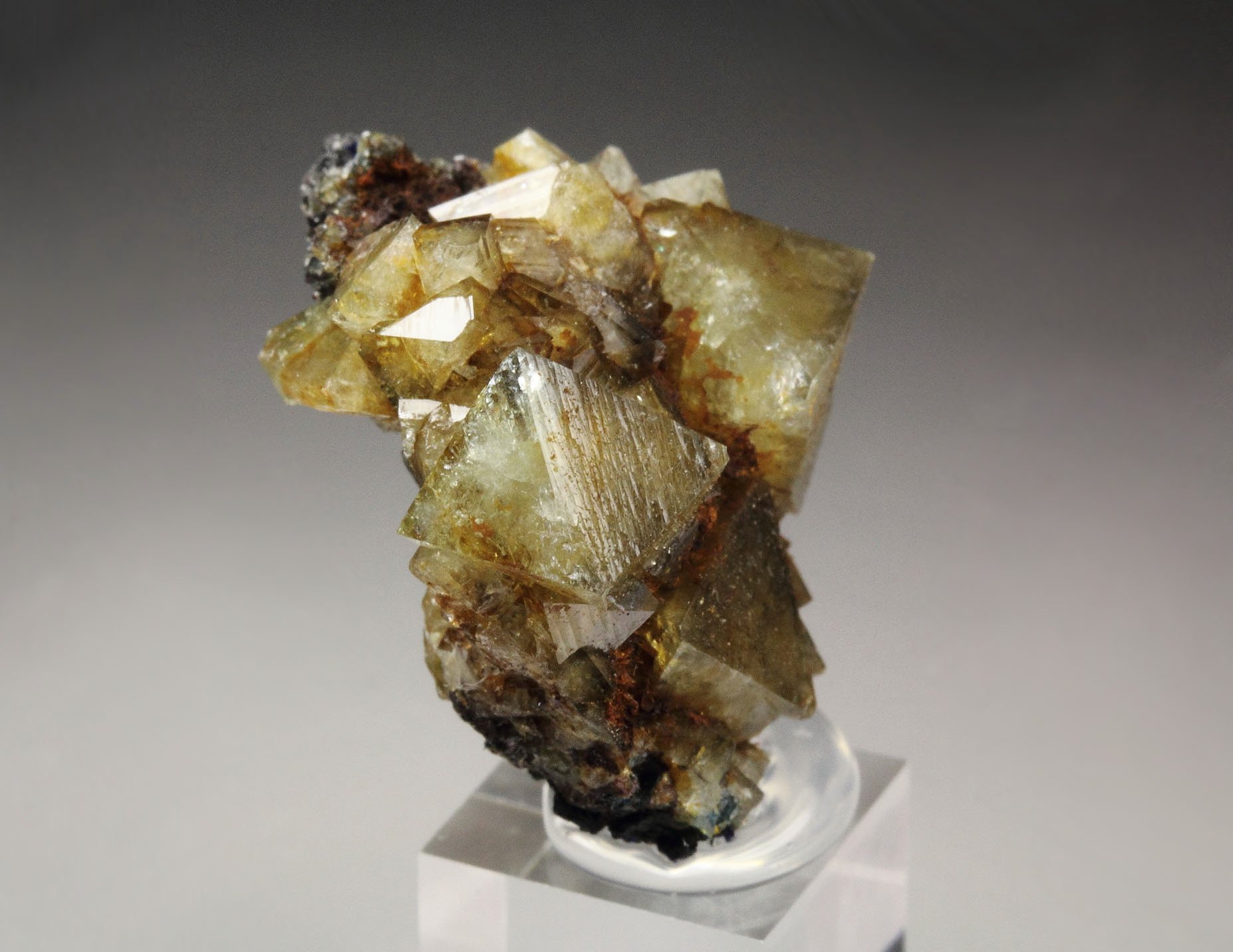 WARDITE