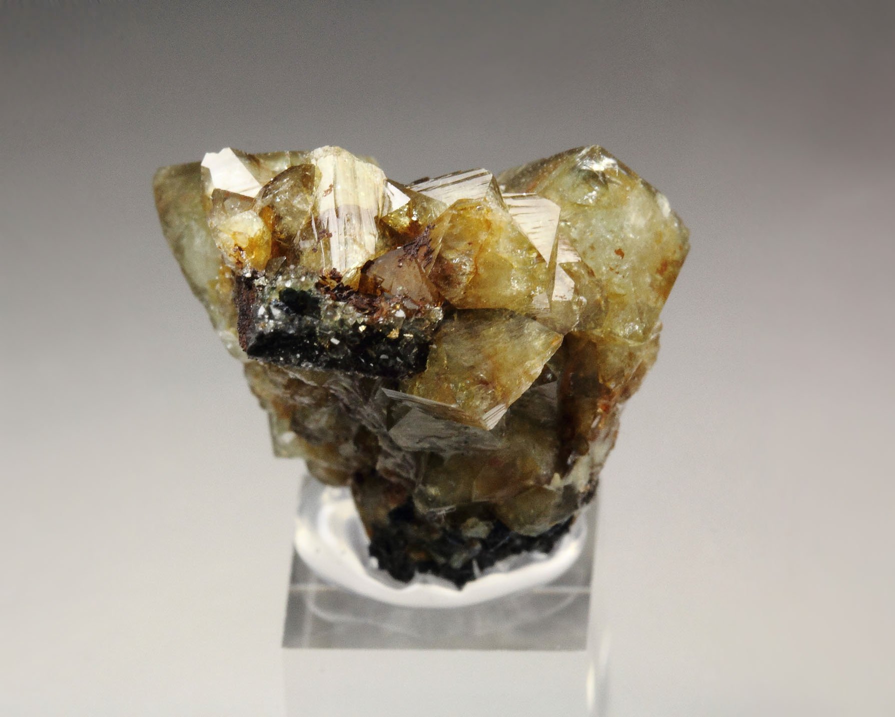 WARDITE