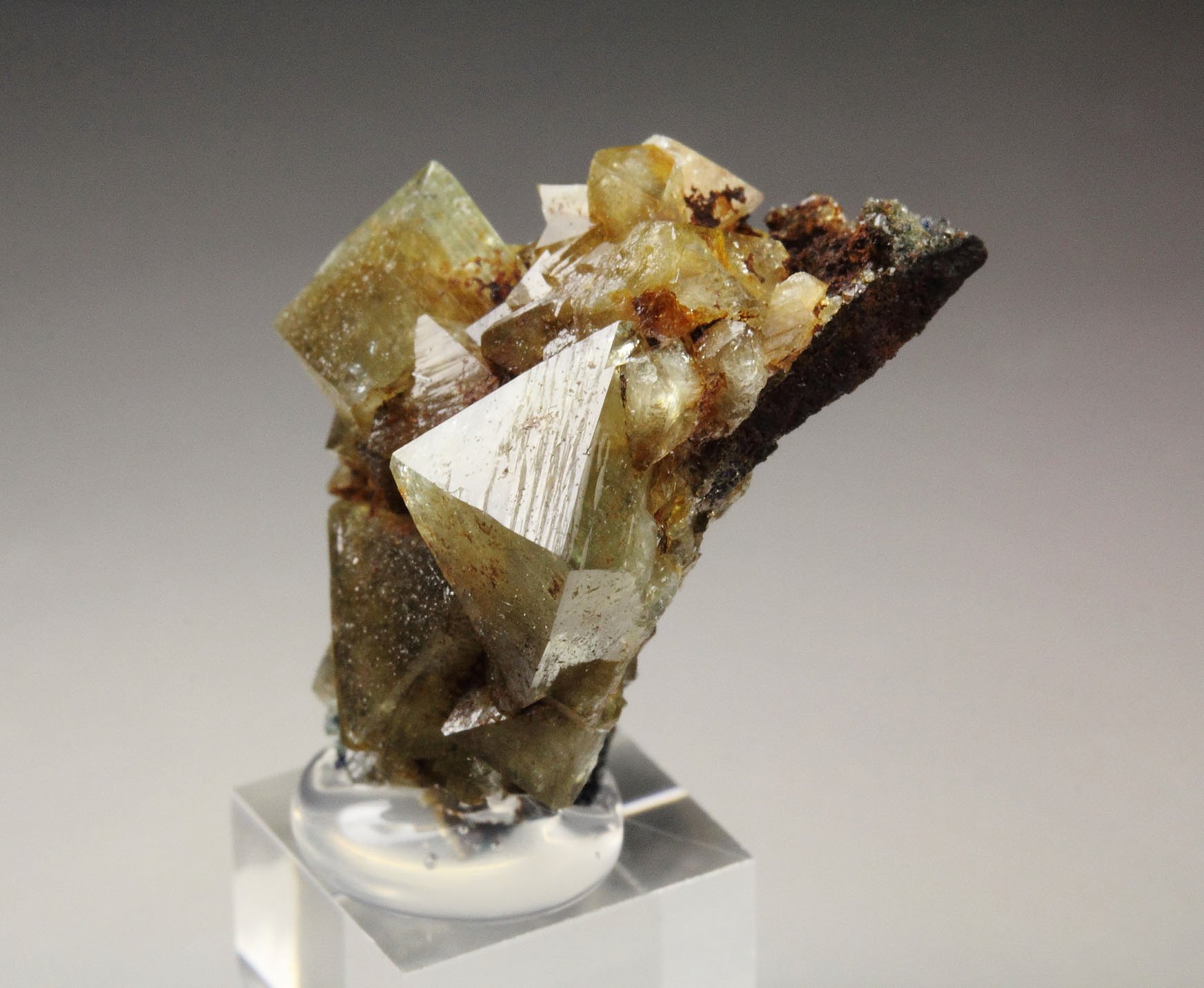 WARDITE