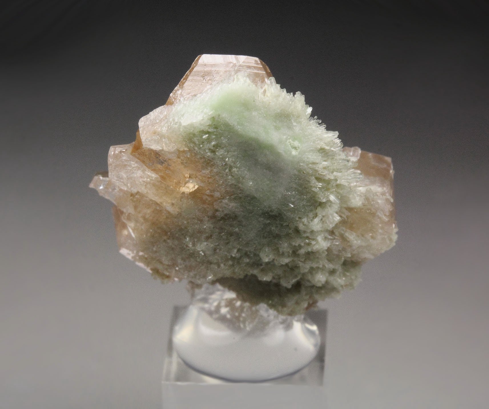 gem GARNET var. GROSSULAR, DIOPSIDE