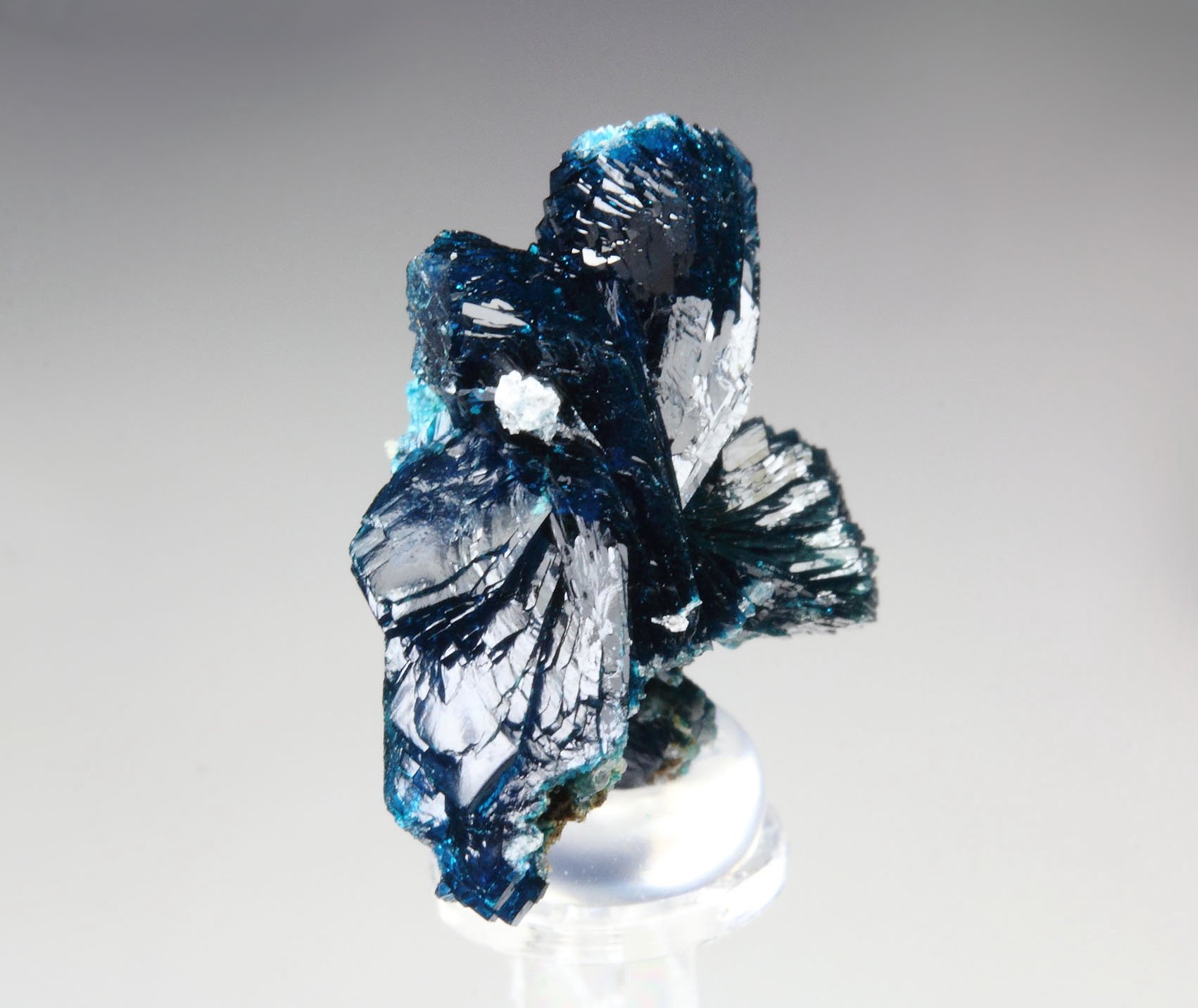 VESZELYITE