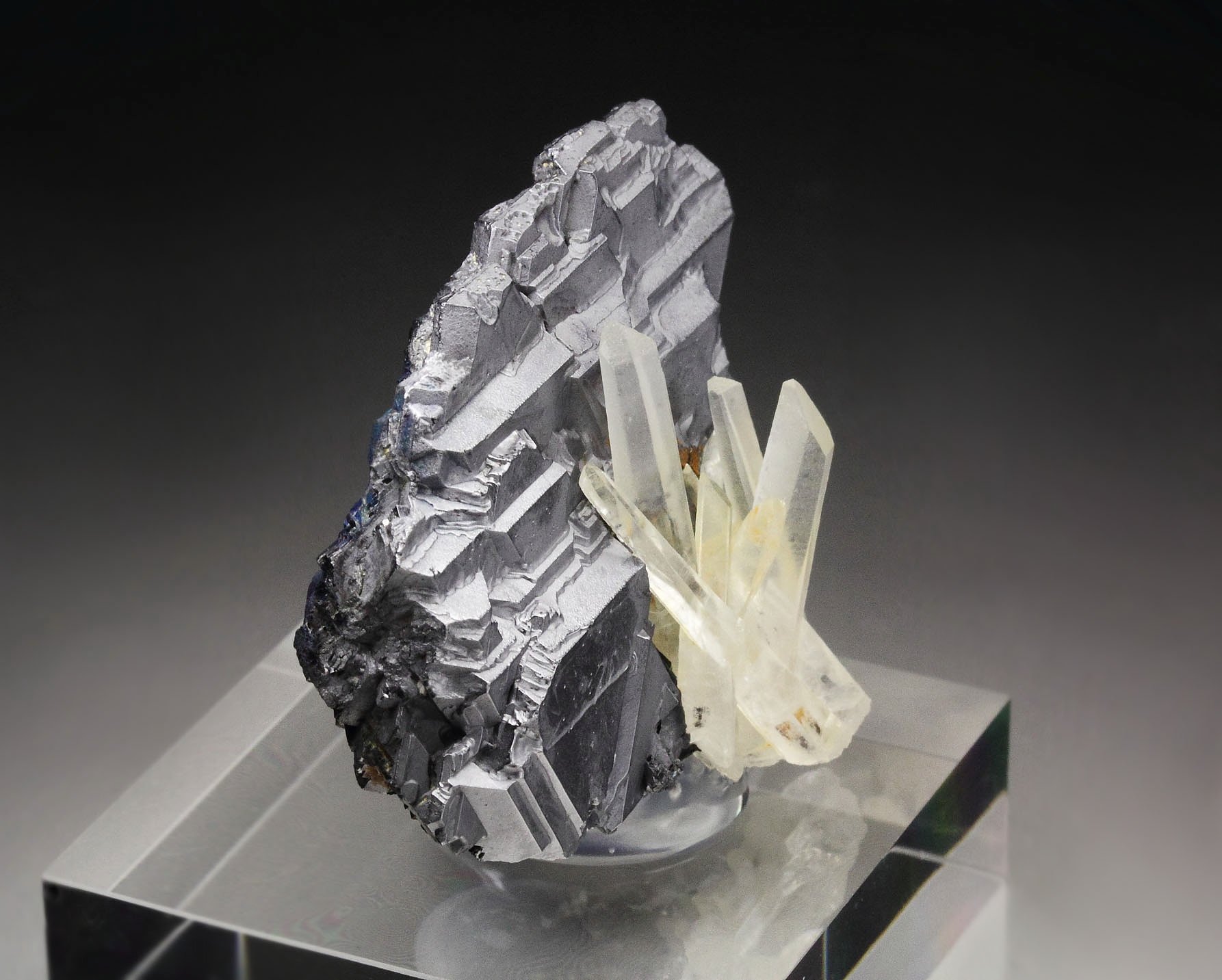 GALENA - SPINEL LAW TWIN, QUARTZ