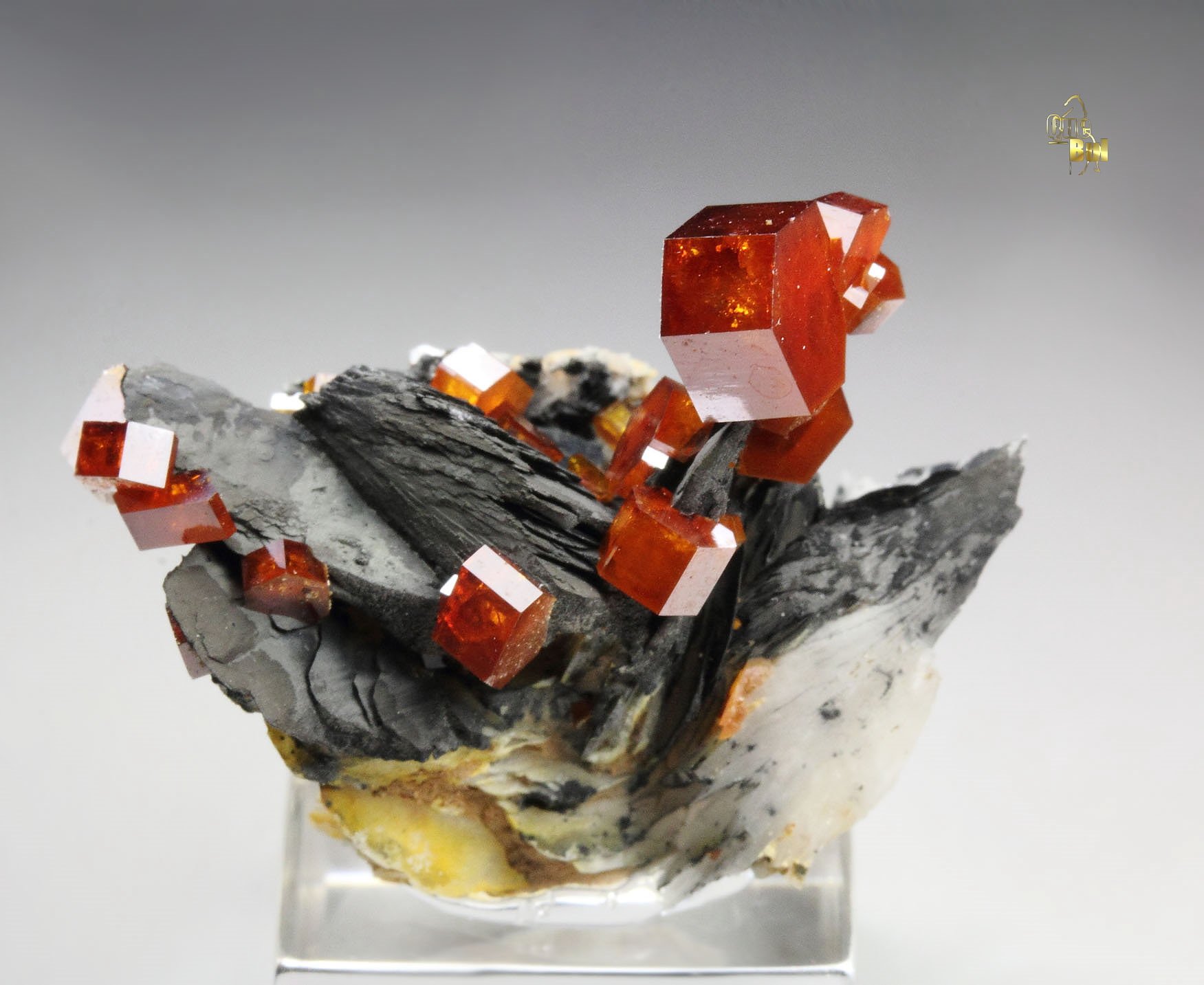 VANADINITE, BARYTE