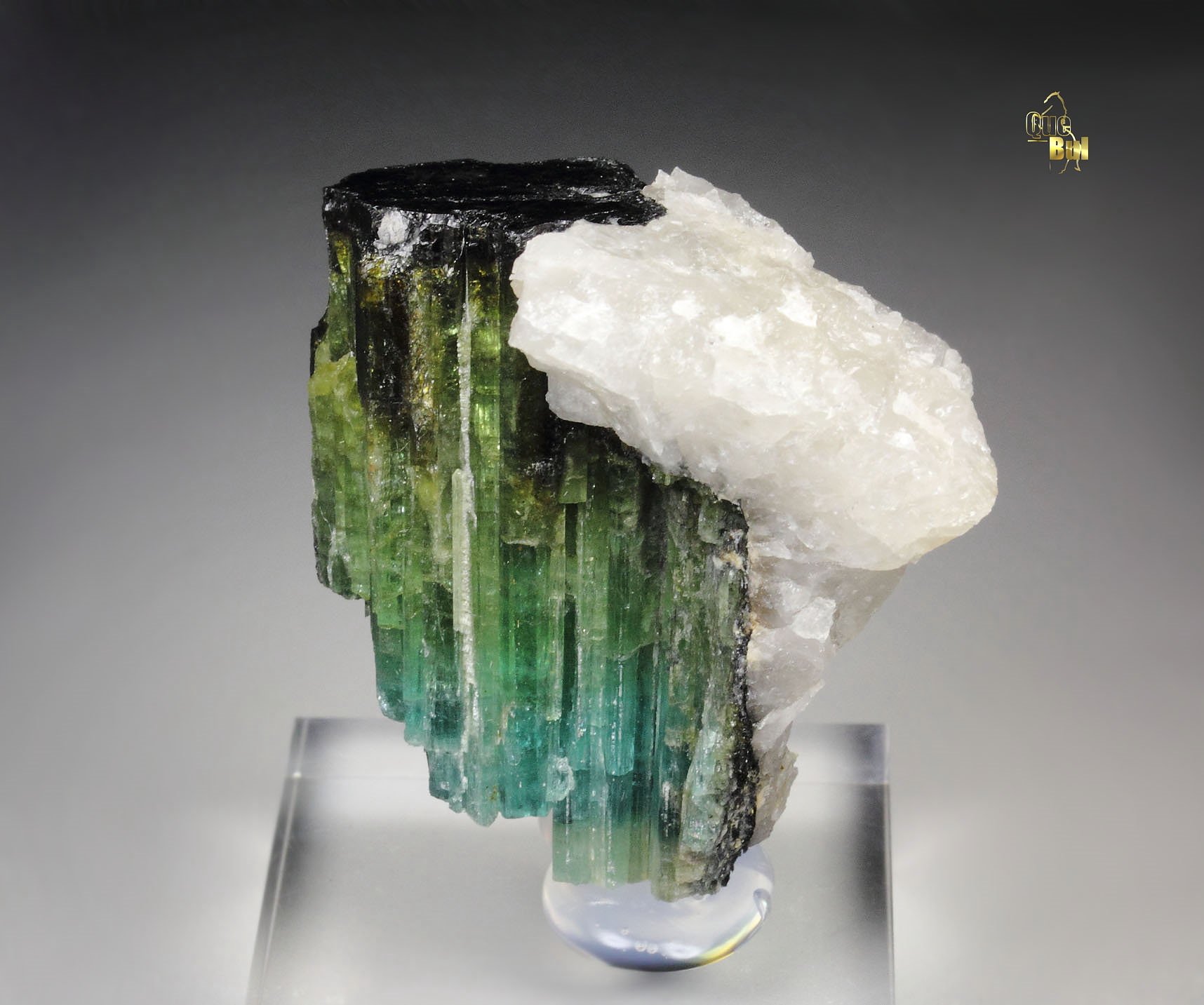 new find - gemmy TOURMALINE var. ELBAITE