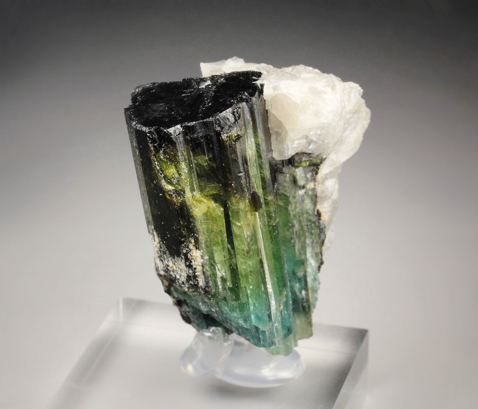 new find - gemmy TOURMALINE var. ELBAITE