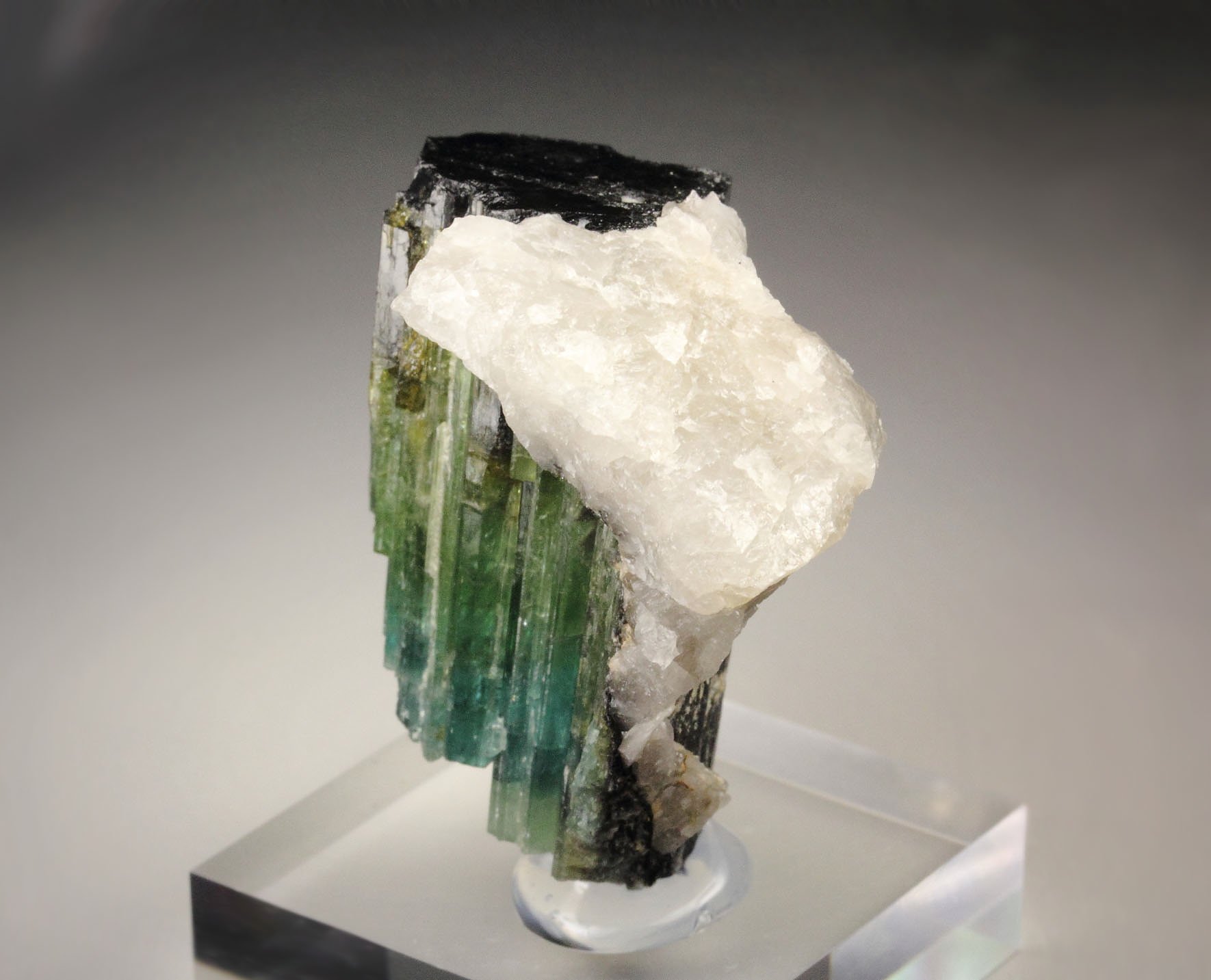 new find - gemmy TOURMALINE var. ELBAITE