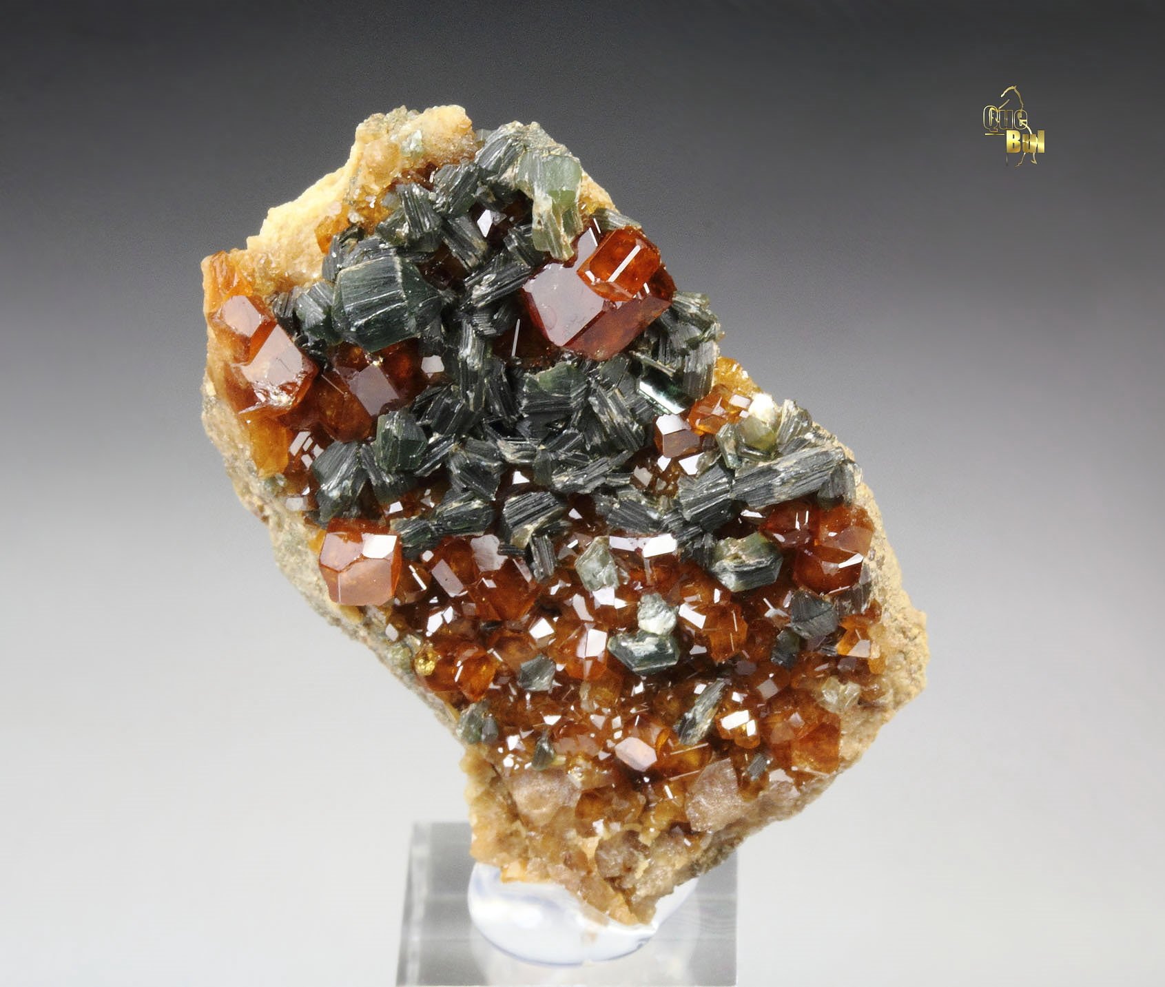 gem GARNET var. HESSONITE, CLINOCHLORE