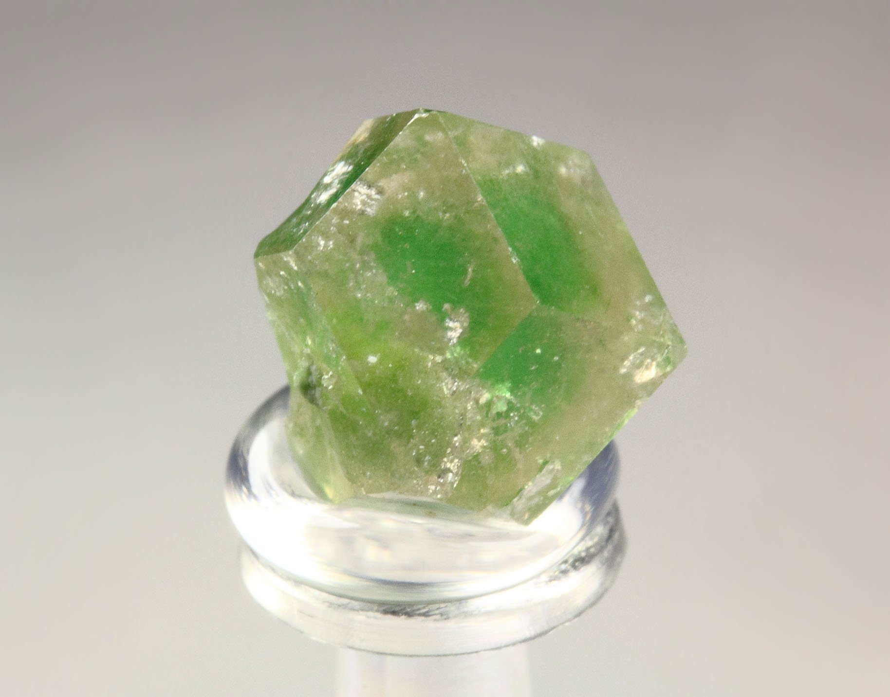 gem GARNET var. GROSSULAR with GREEN CHROMIAN PHANTOM