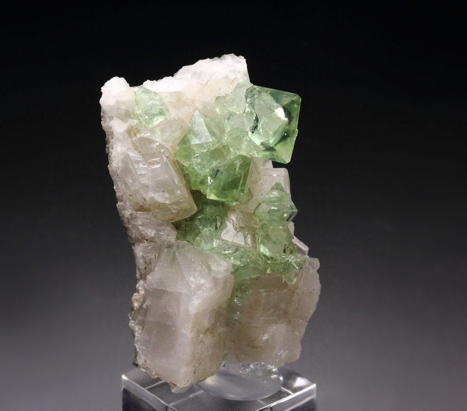 FLUORITE