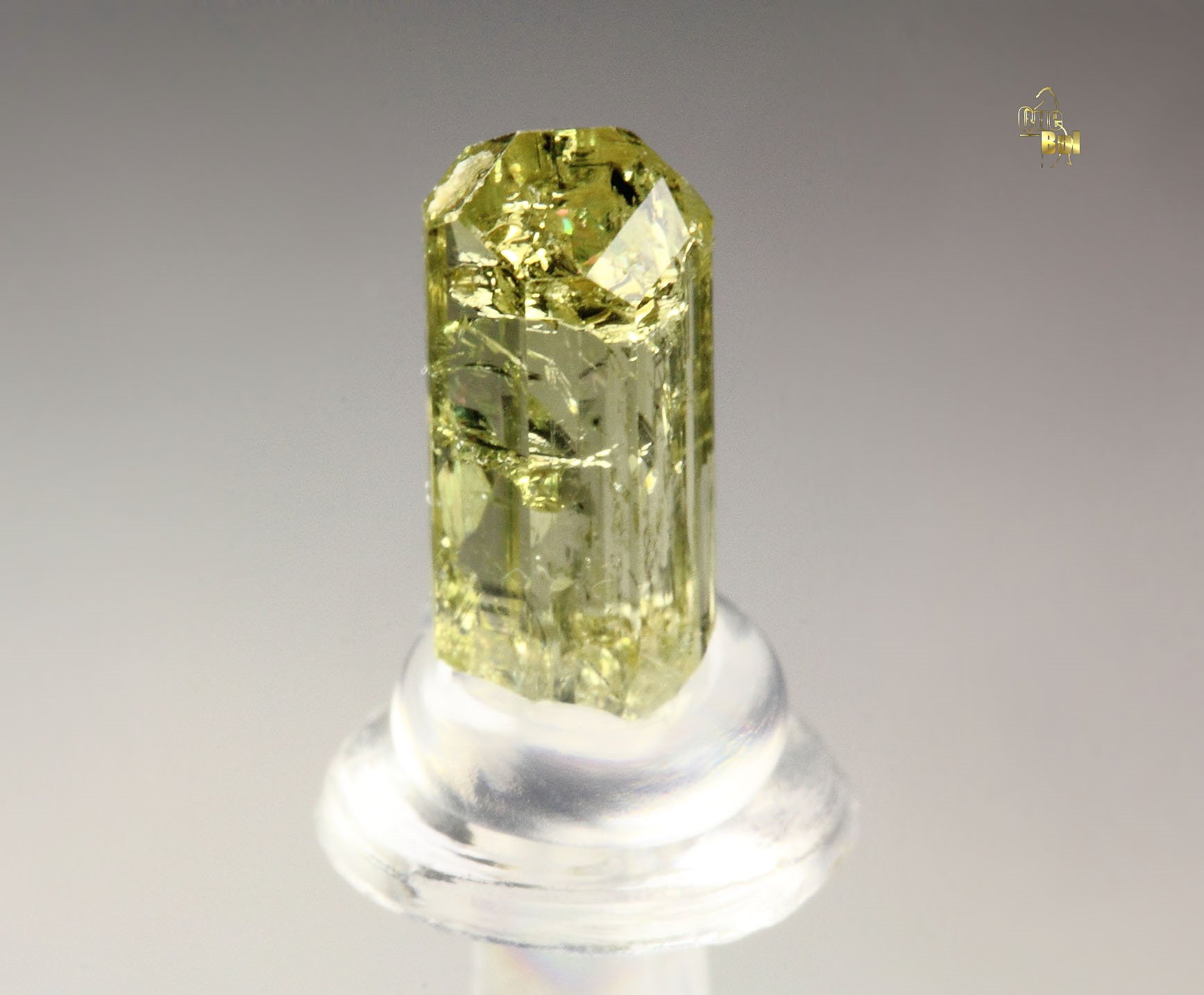 gem VESUVIANITE