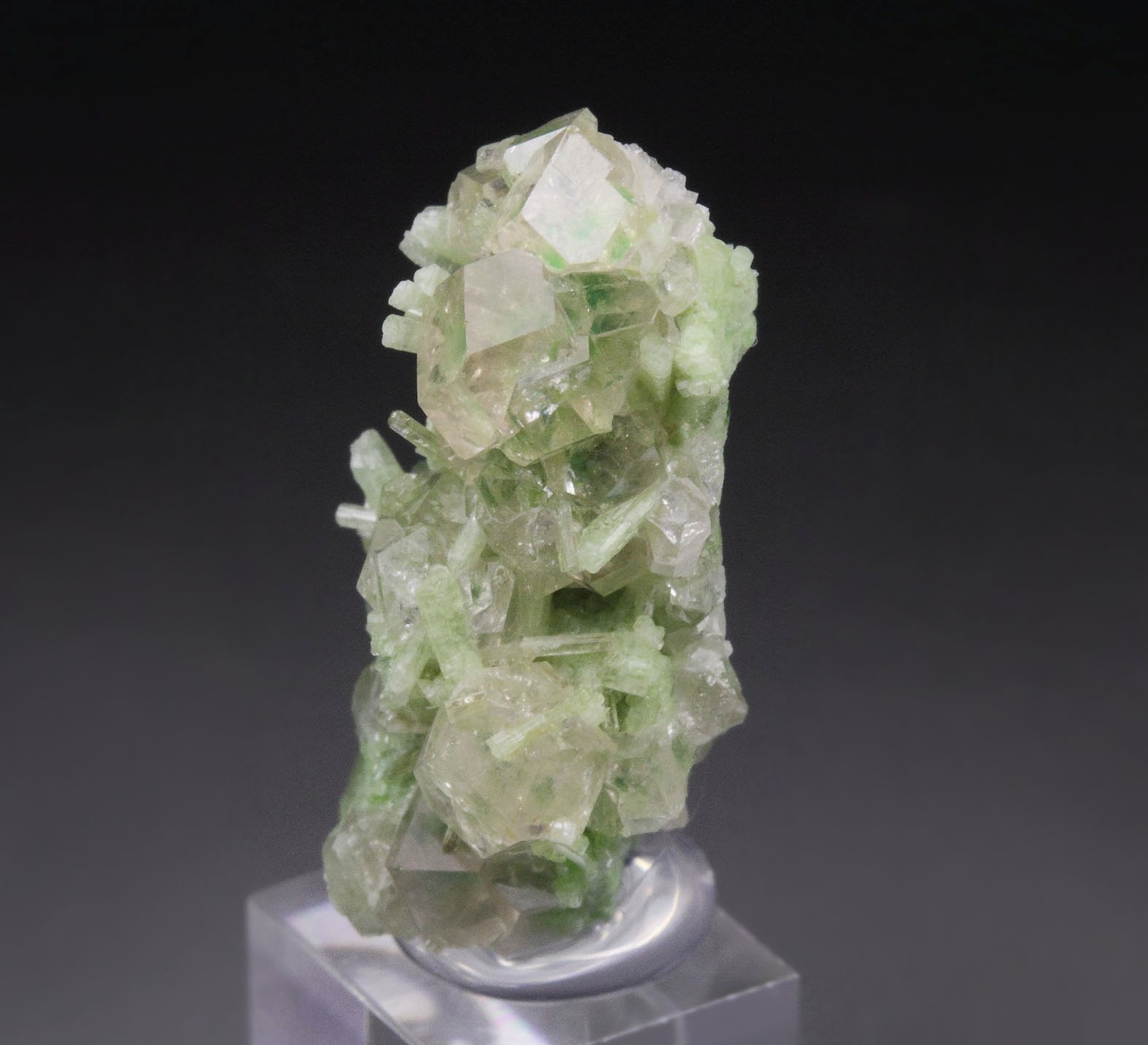 gem GARNET var. GROSSULAR with GREEN CHROMIAN PHANTOMS, DIOPSIDE